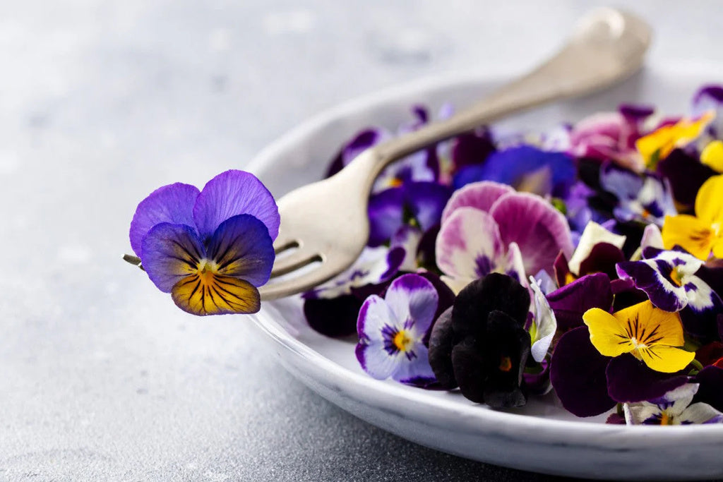 Edible Flowers: A Delightful Way to Improve Your Health