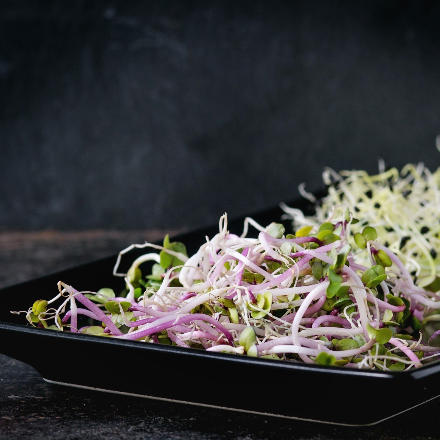 Roasted Vegetable & Microgreen Salad