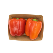 Capsicum Red UAE