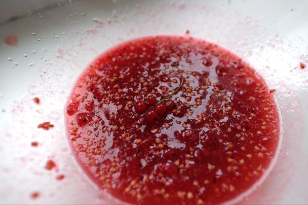 Red Currant Syrup