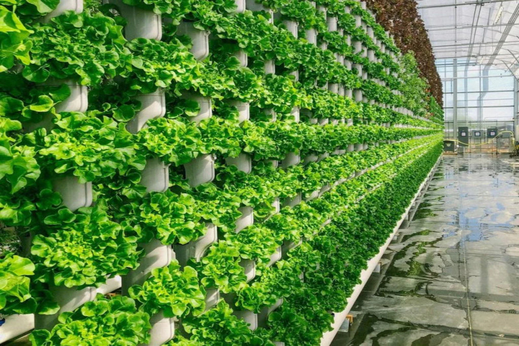 How does vertical Farming feed the world, and why do you need it?