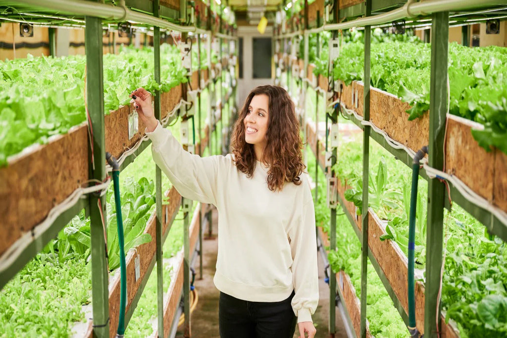 Harvest Time at UNS Vertical Farm: How to Get the Freshest Produce From Your Vertical Farm