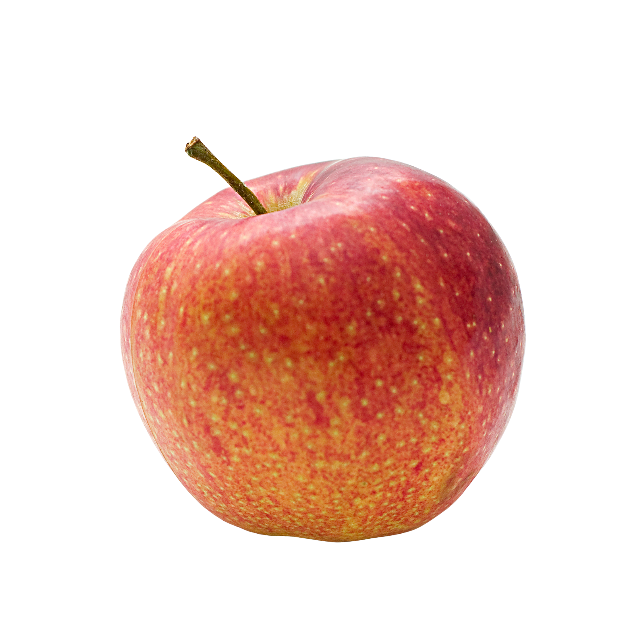 Apple Royal Gala South Africa