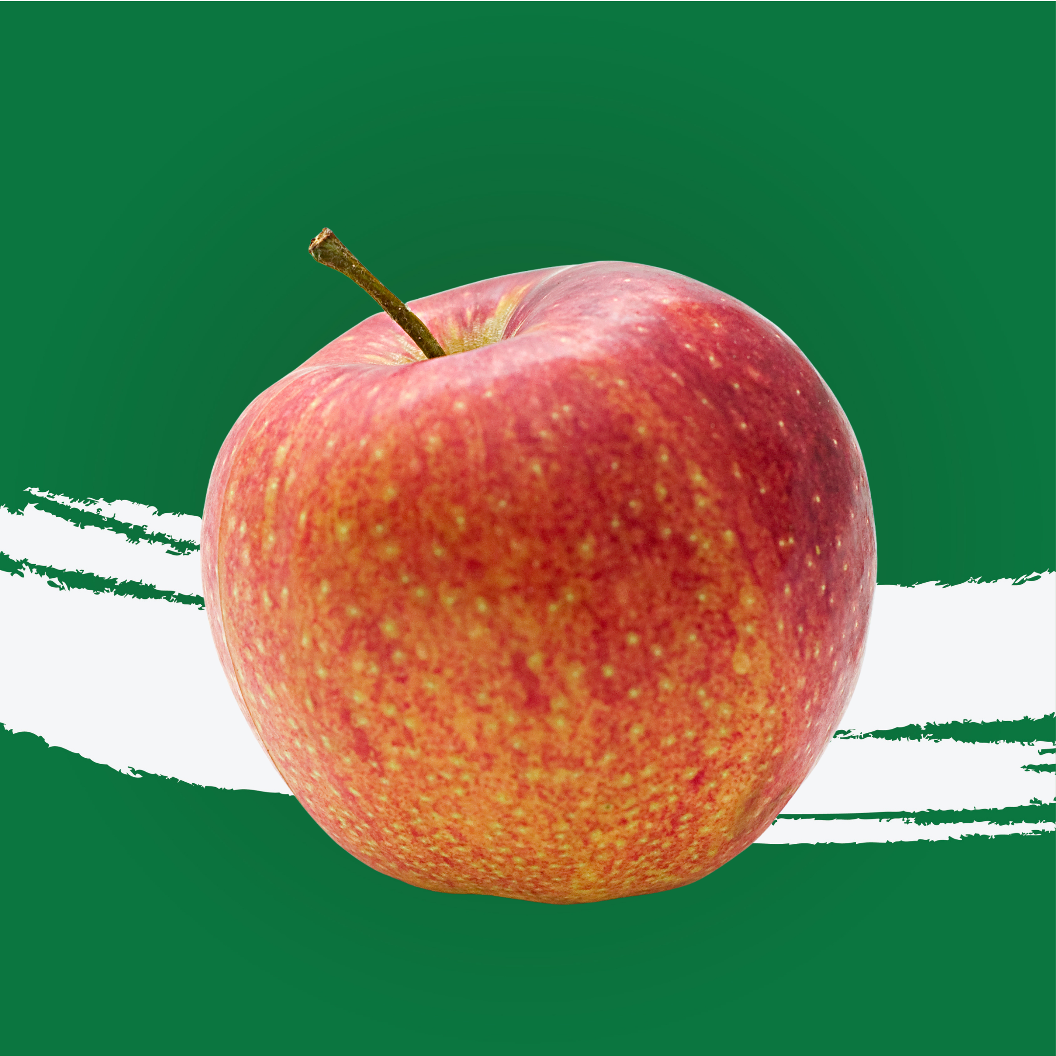 Apple Royal Gala South Africa