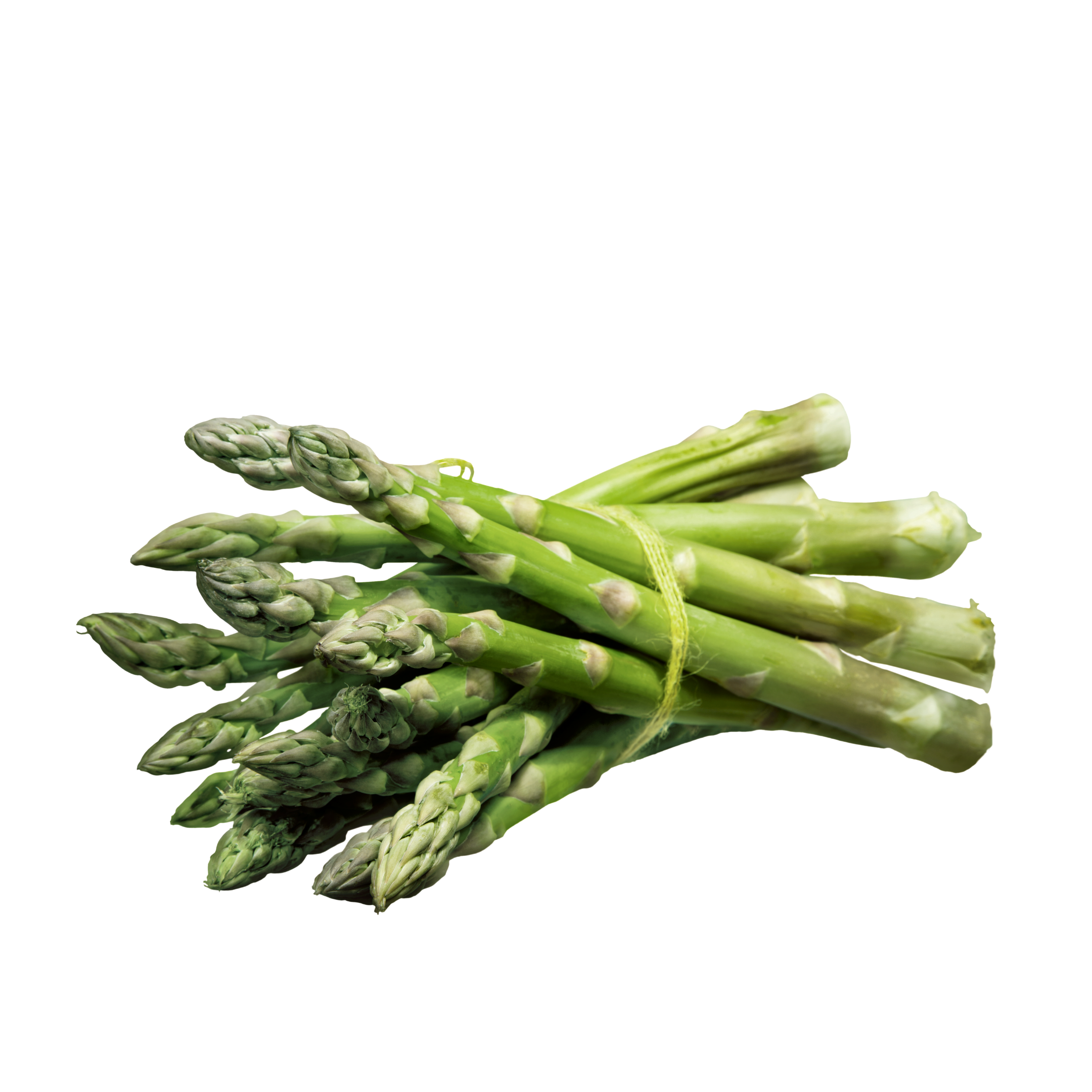 Asparagus Green Holland