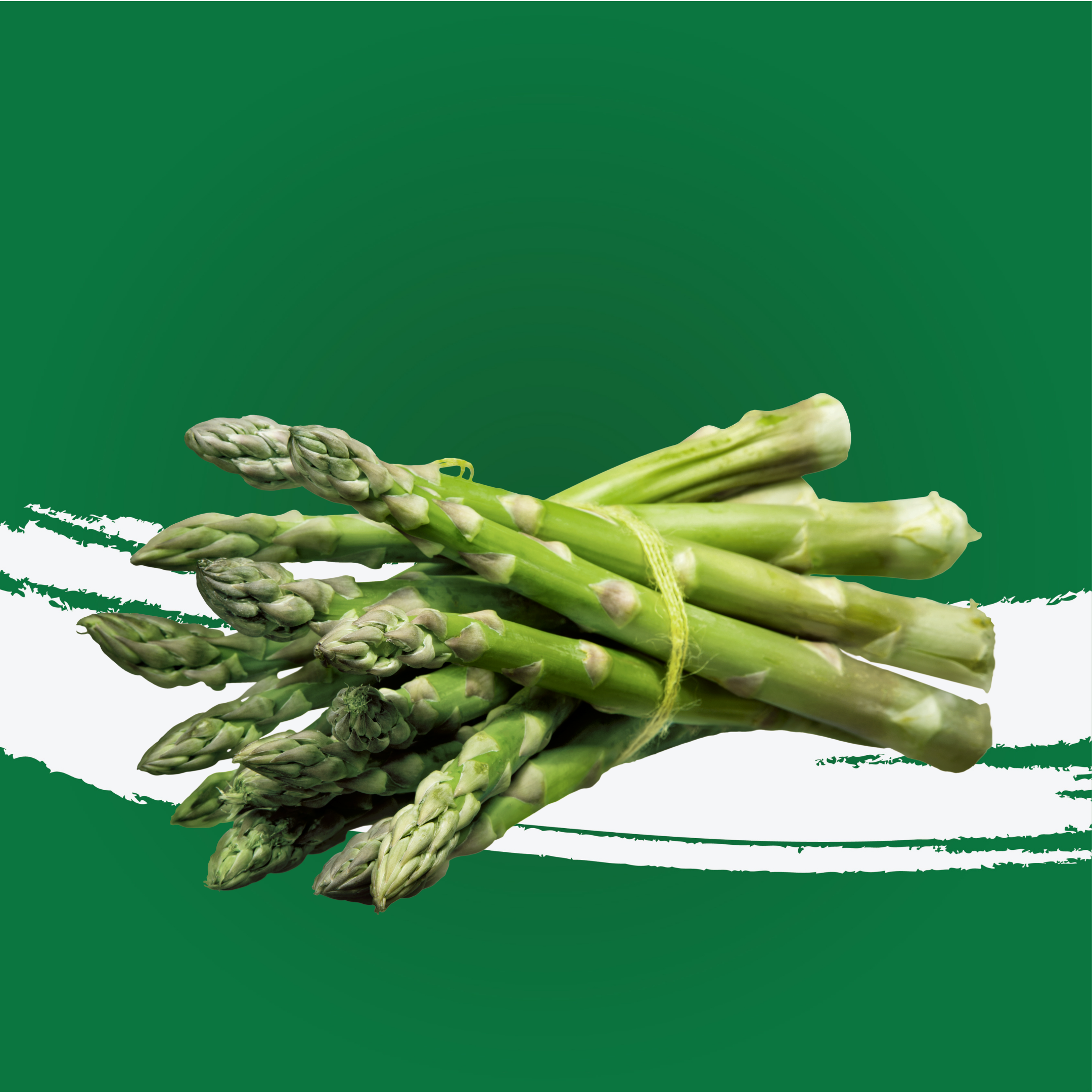 Asparagus Green Holland