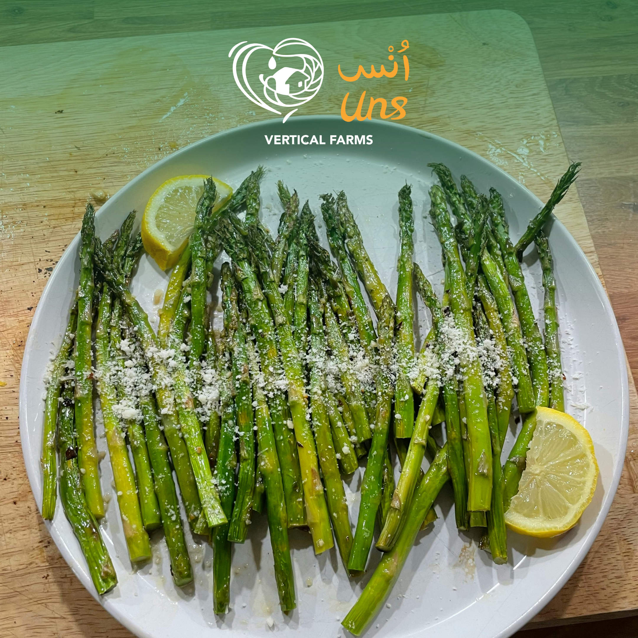 Asparagus Green Holland