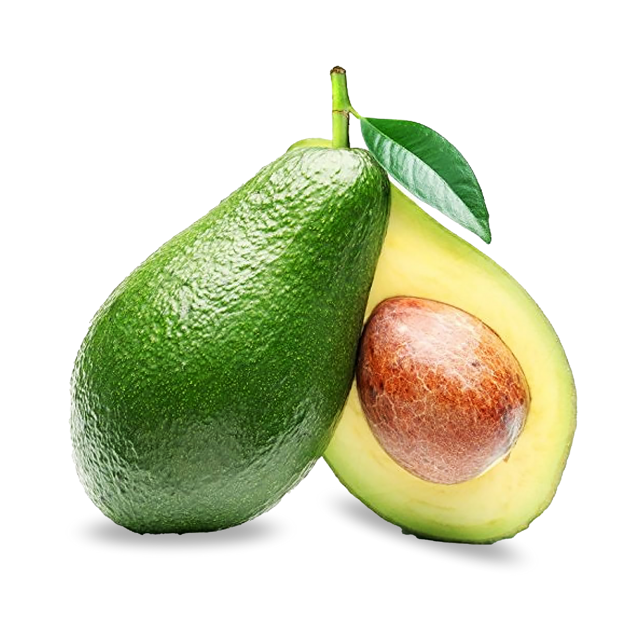 Avocado Kenya