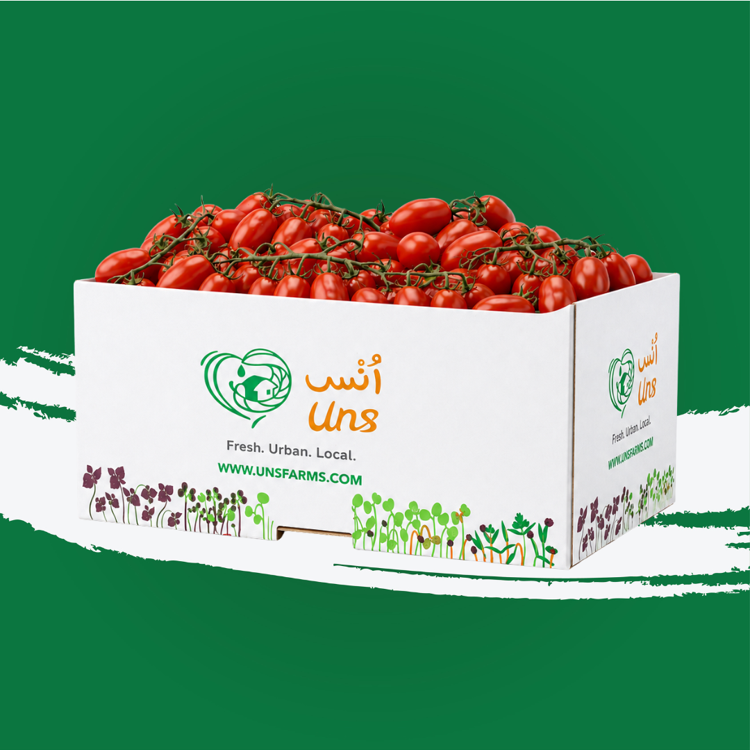 UNS Plum Tomato Bunch Red 3kg