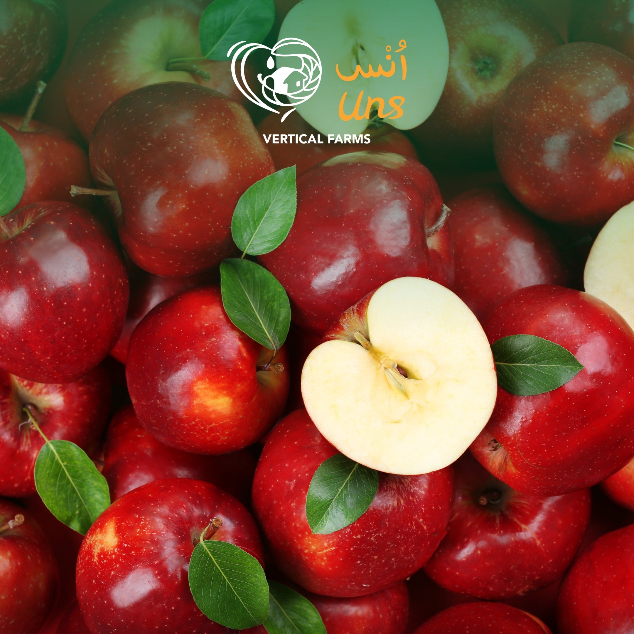 Apple Red Usa