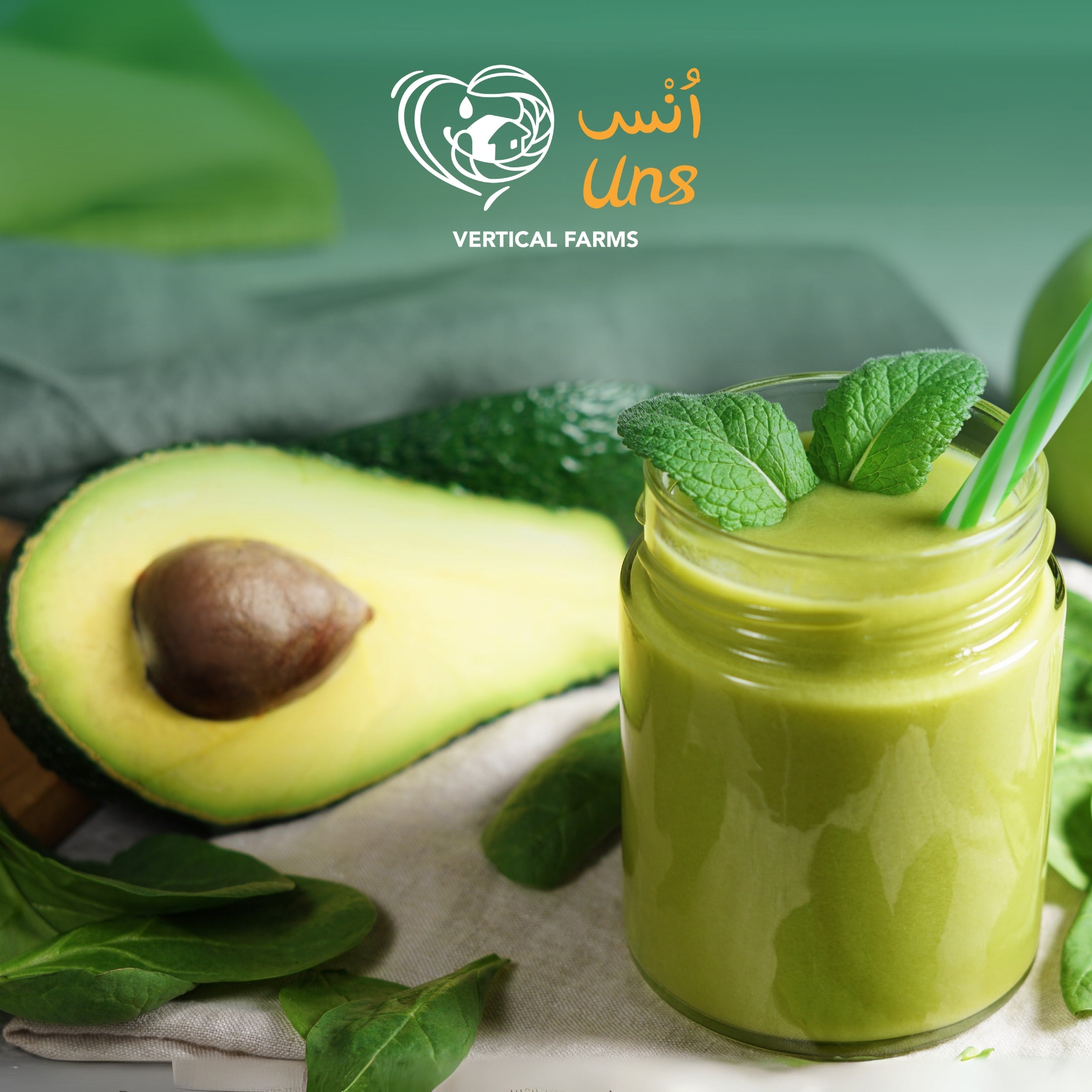 Avocado Hass Kenya