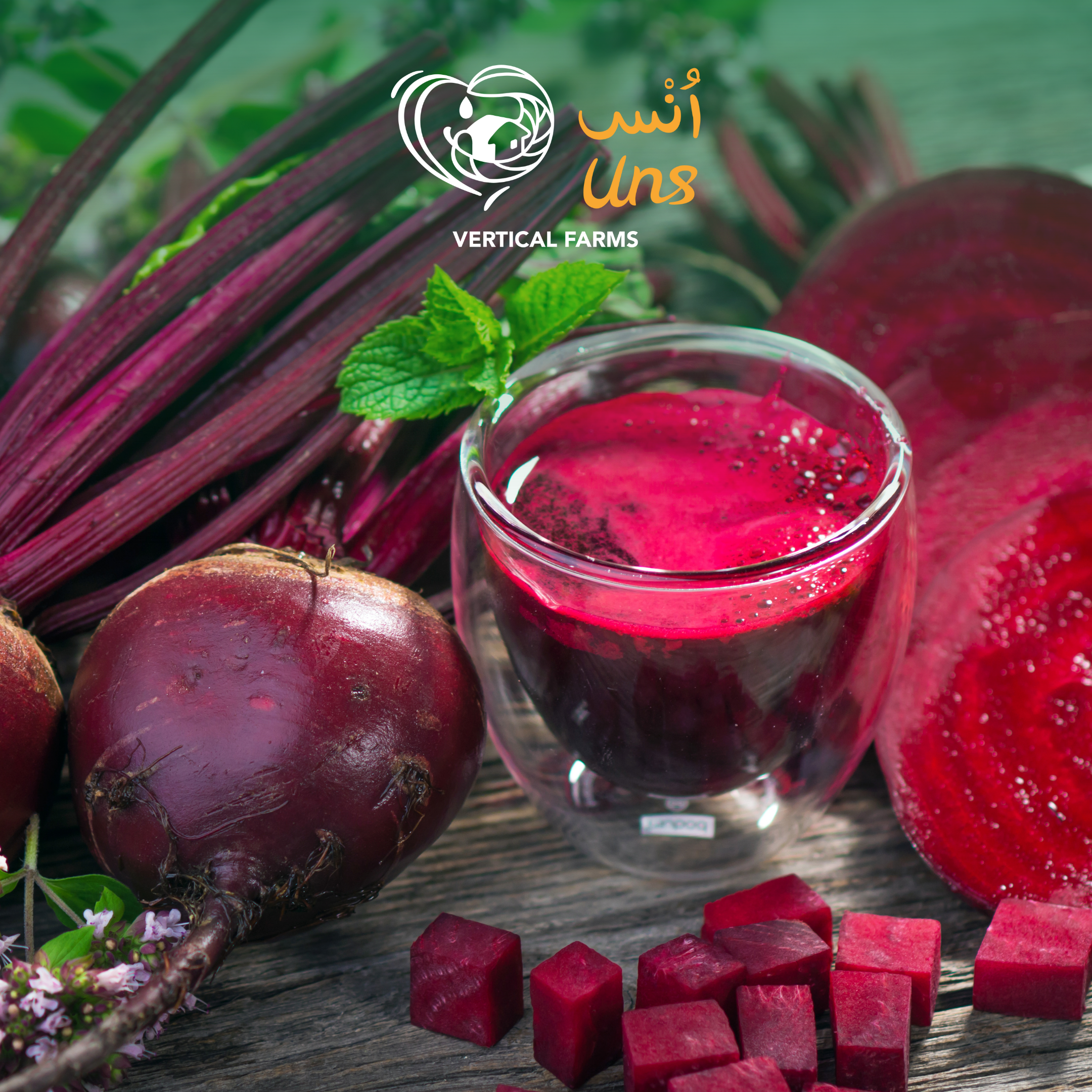 Baby Beetroot Candy Kenya