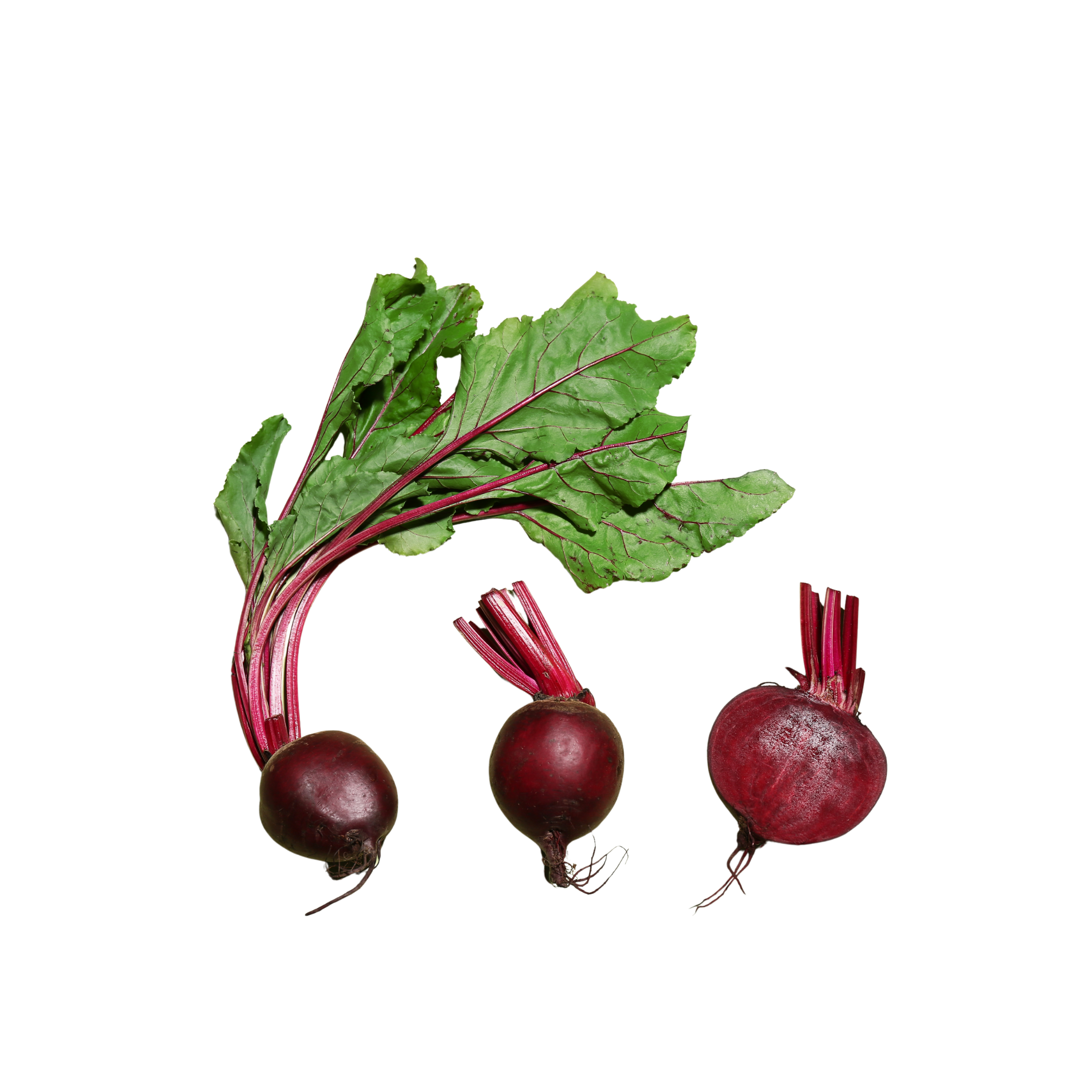 Baby Beetroot South Africa