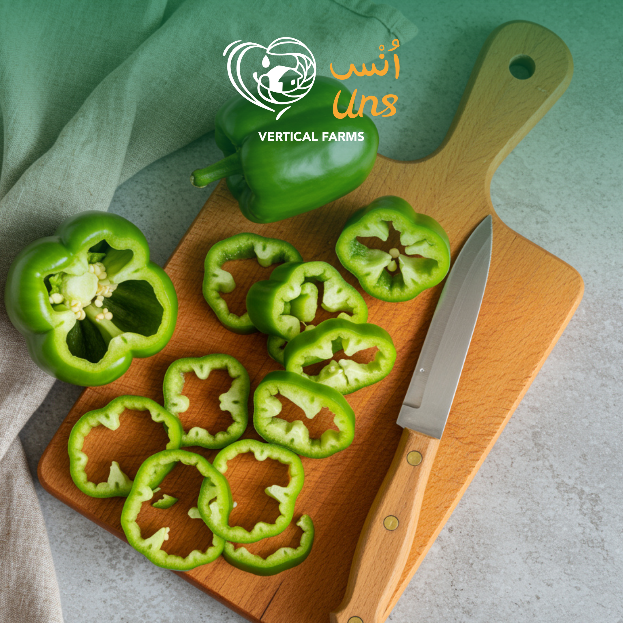 Baby Capsicum Green Holland