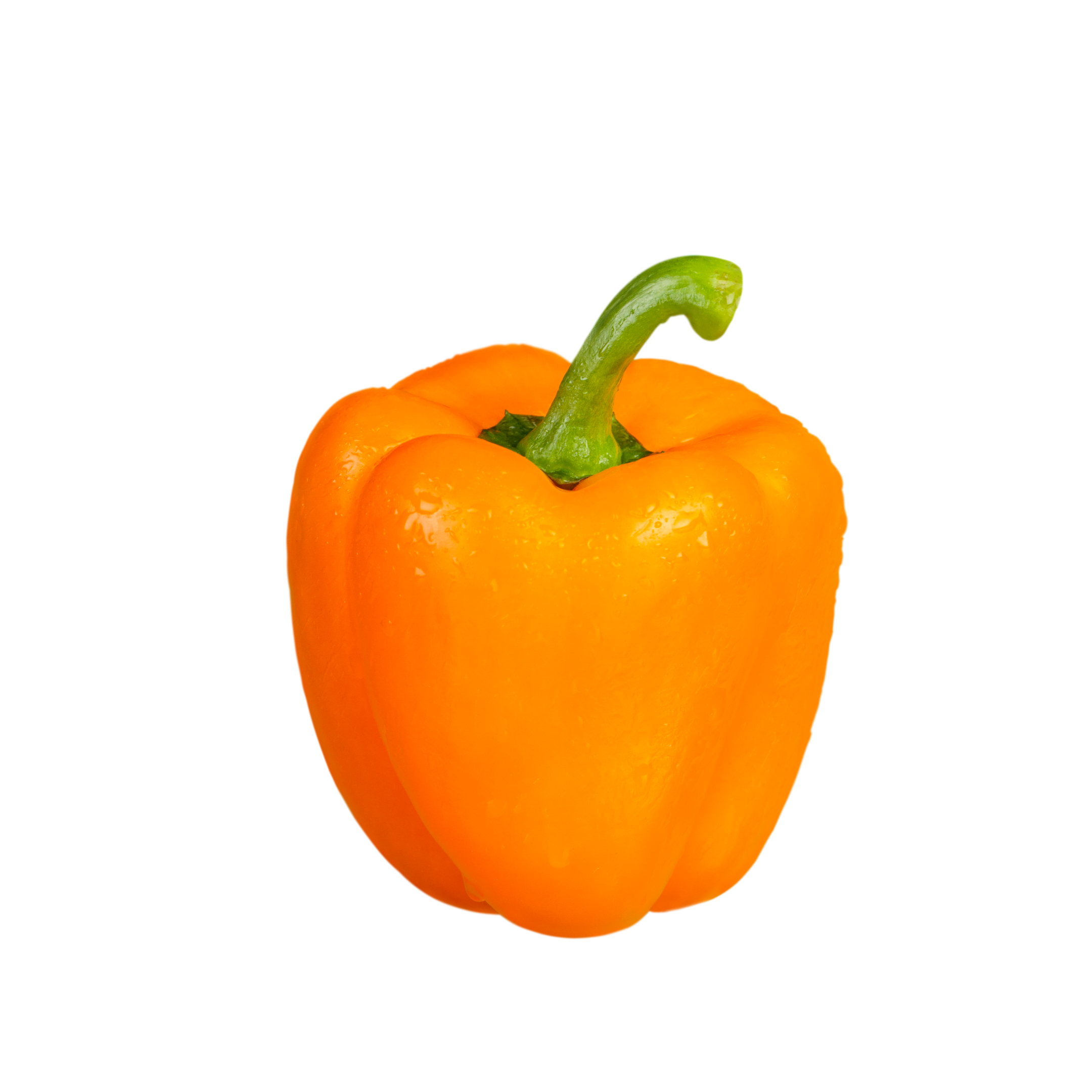 Baby Capsicum Orange Holland