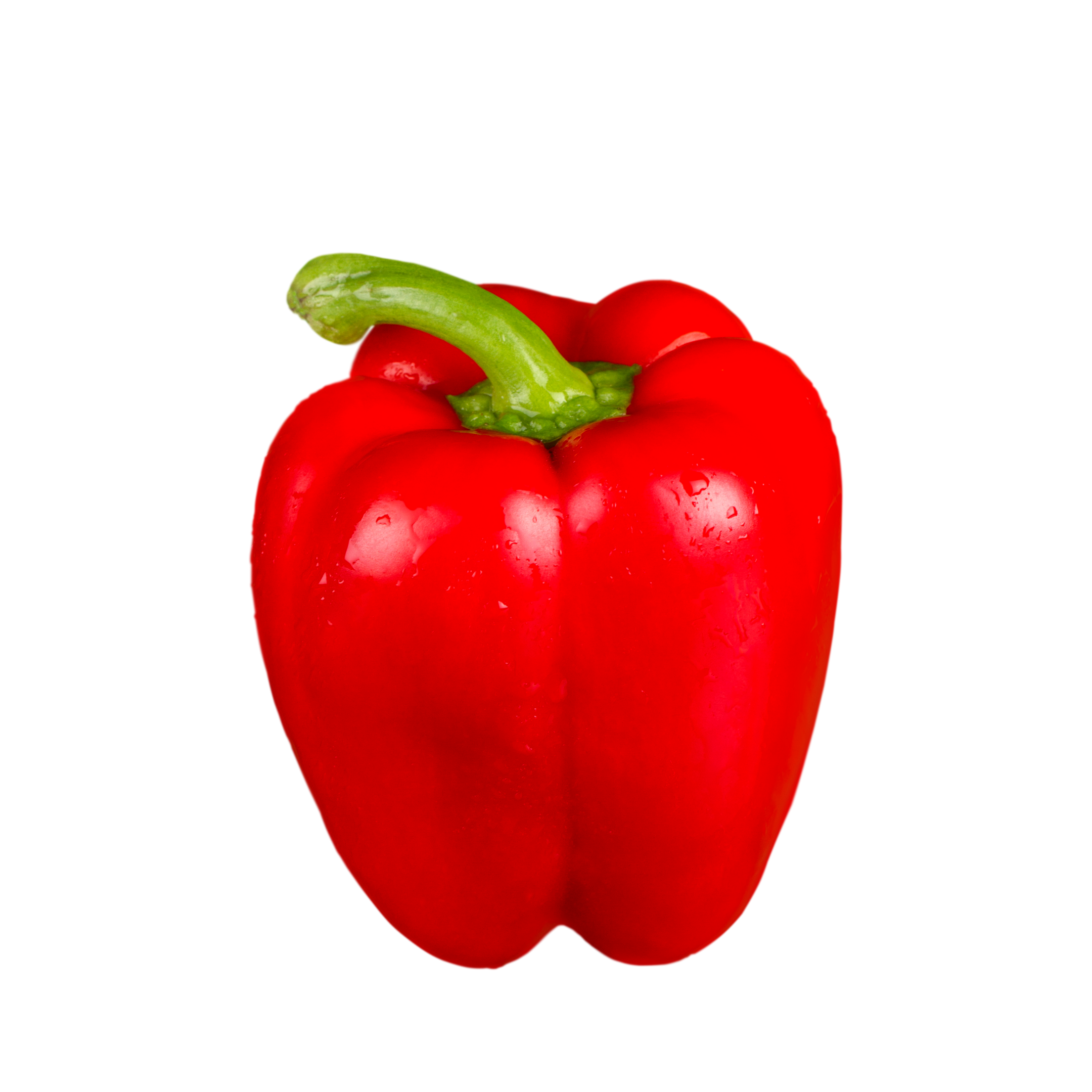 Baby Capsicum Red Holland