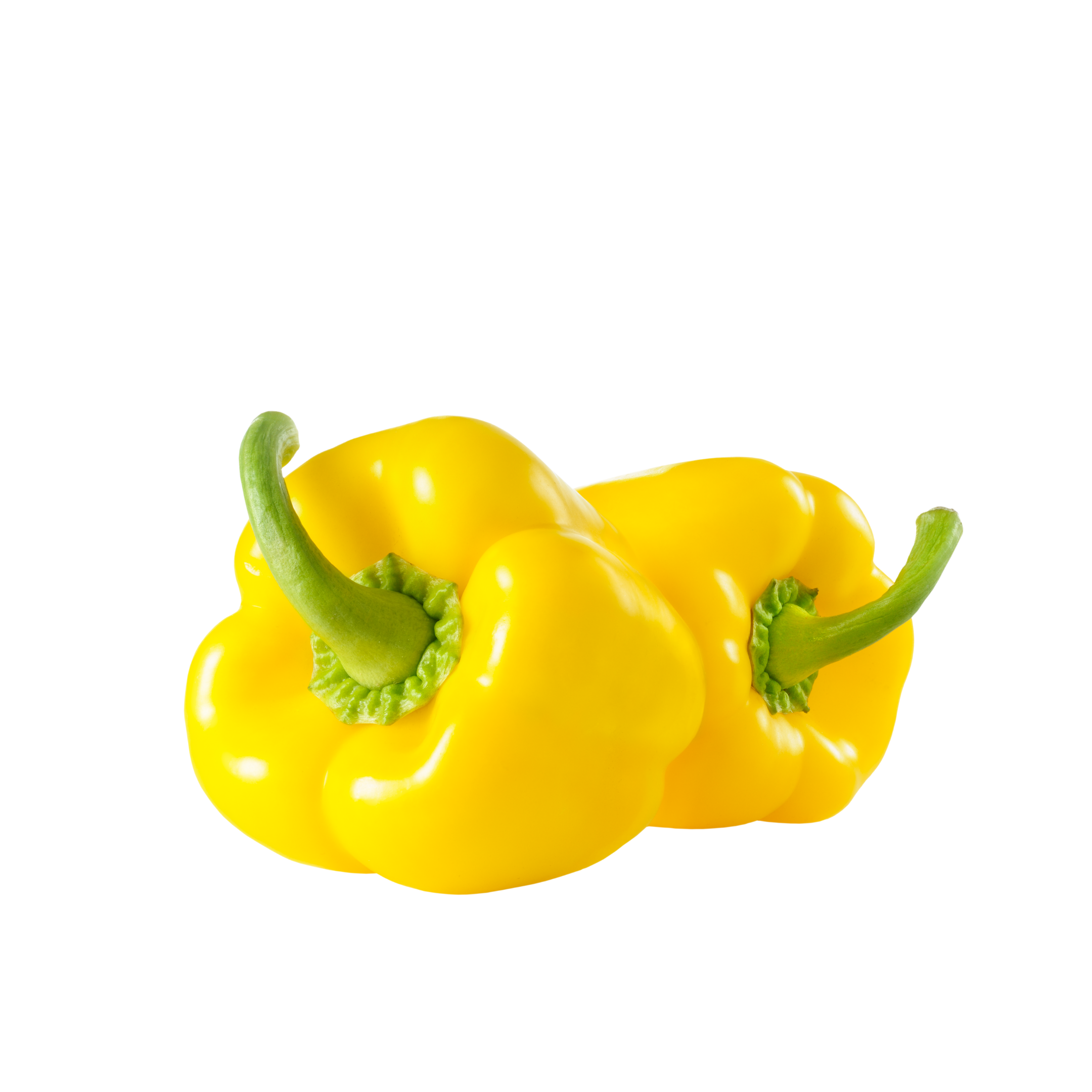 Baby Capsicum Yellow Holland