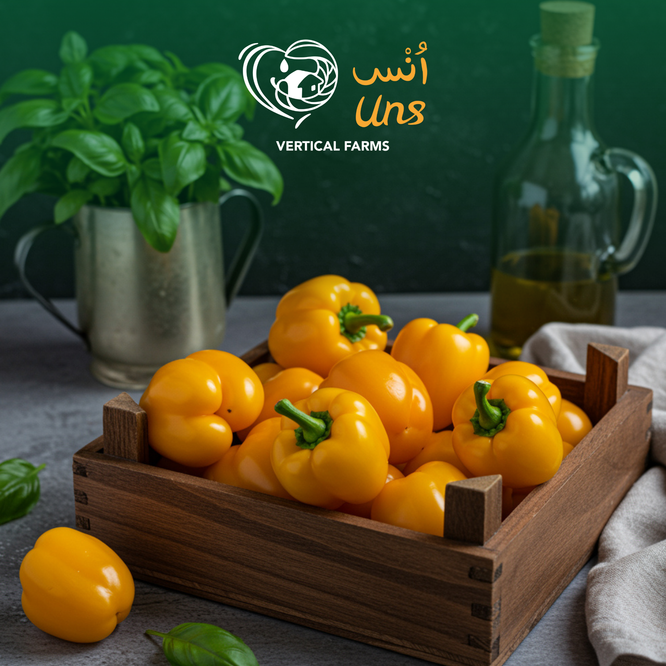 Baby Capsicum Yellow Holland