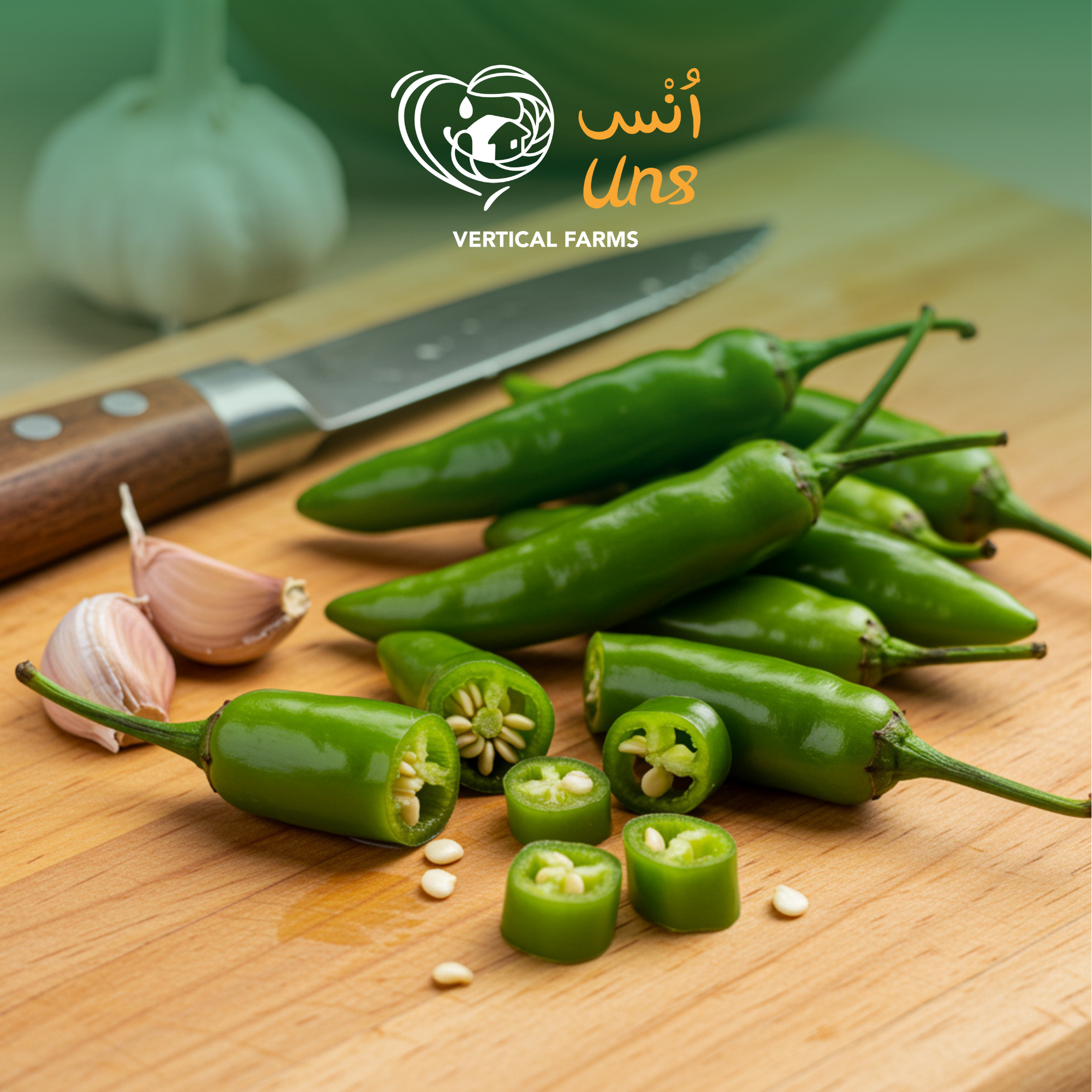 Baby Chilly Green Thailand