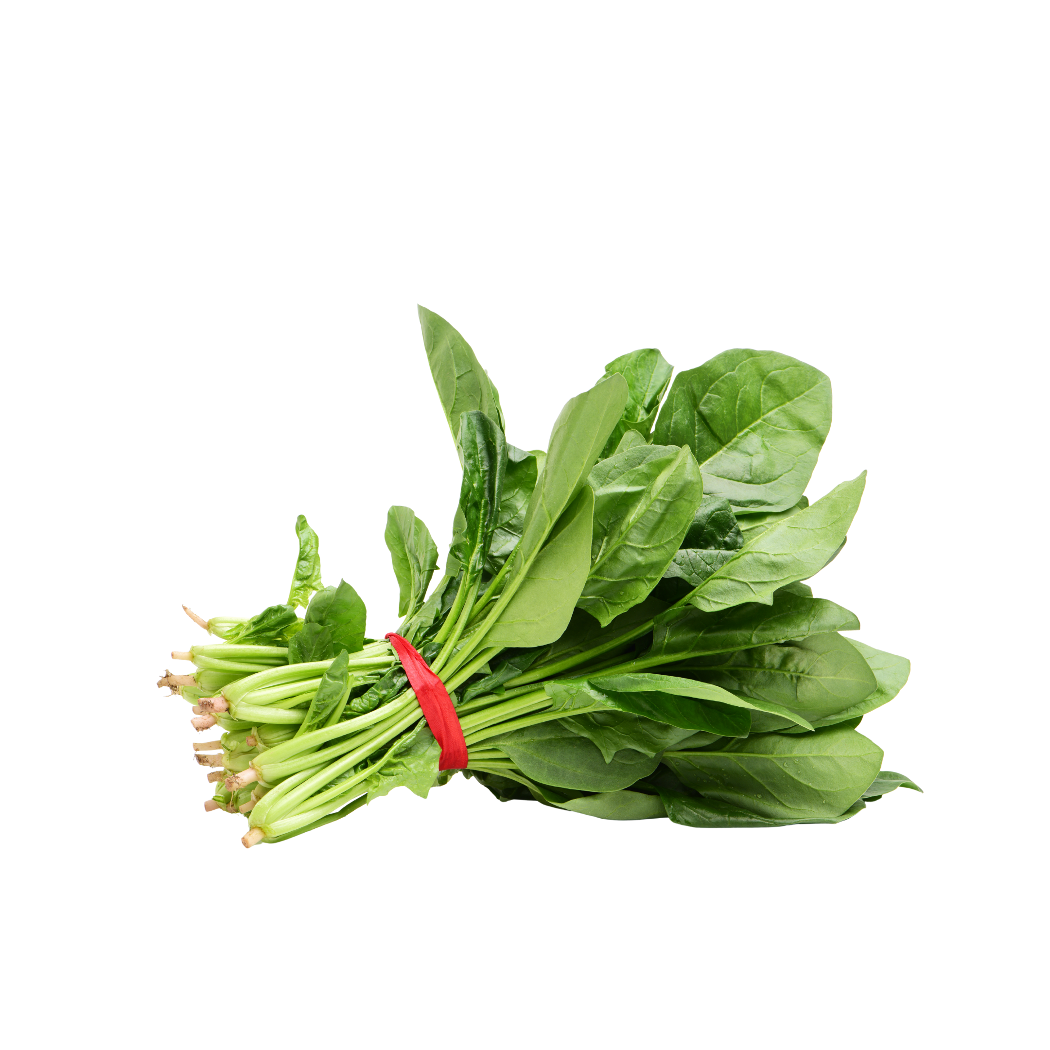 Baby Spinach Holland