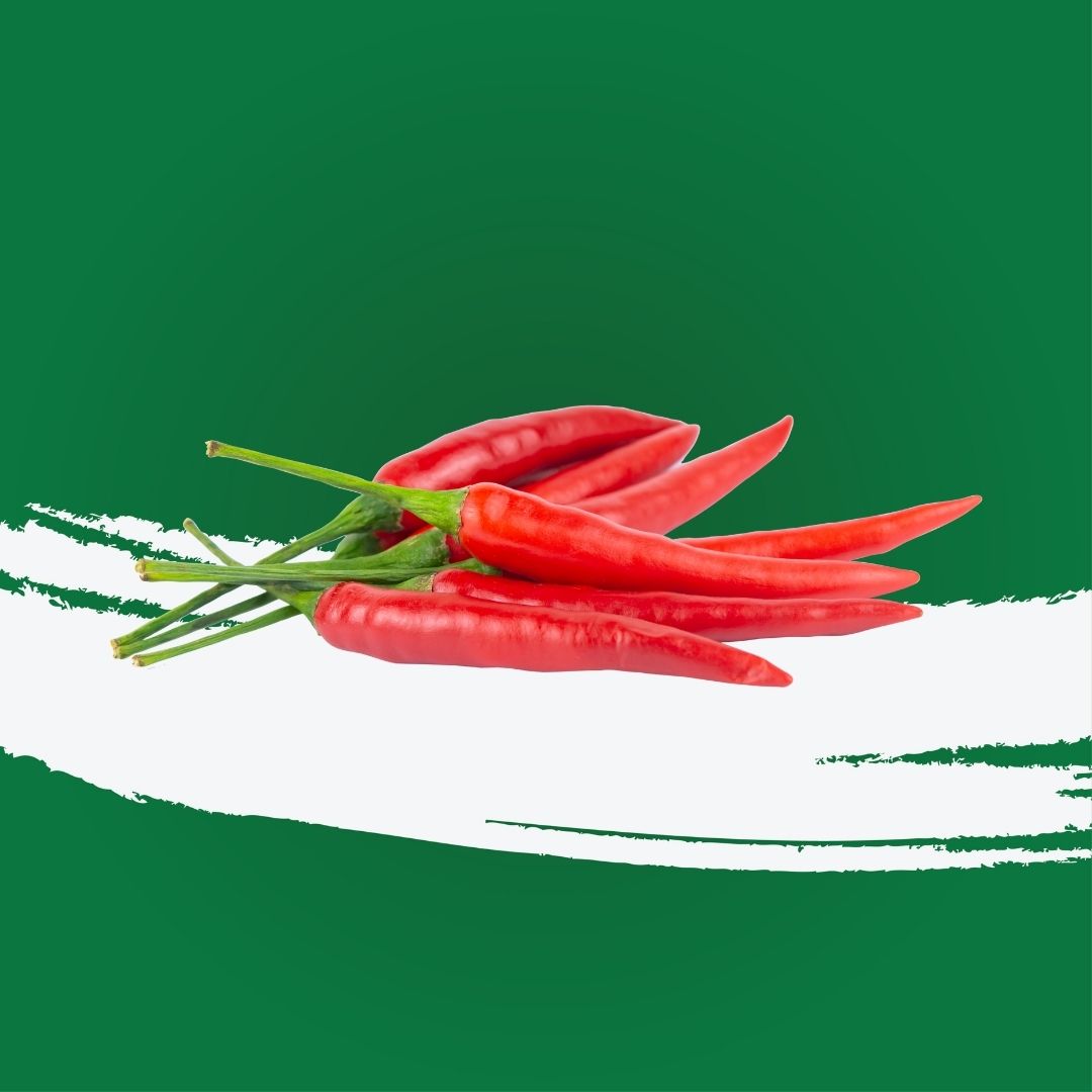 Baby Chilly Red Thailand