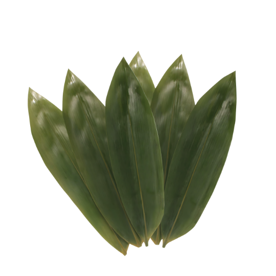 Bamboo Leaves
