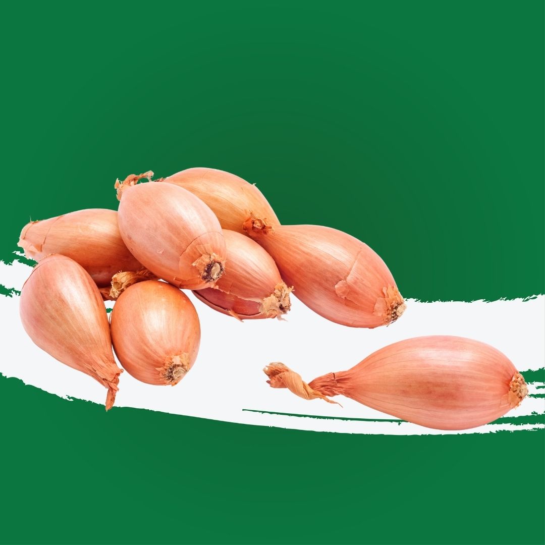 Dutch banana shallots for roasting and sautéing