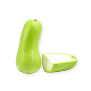 Bottle Gourd ME