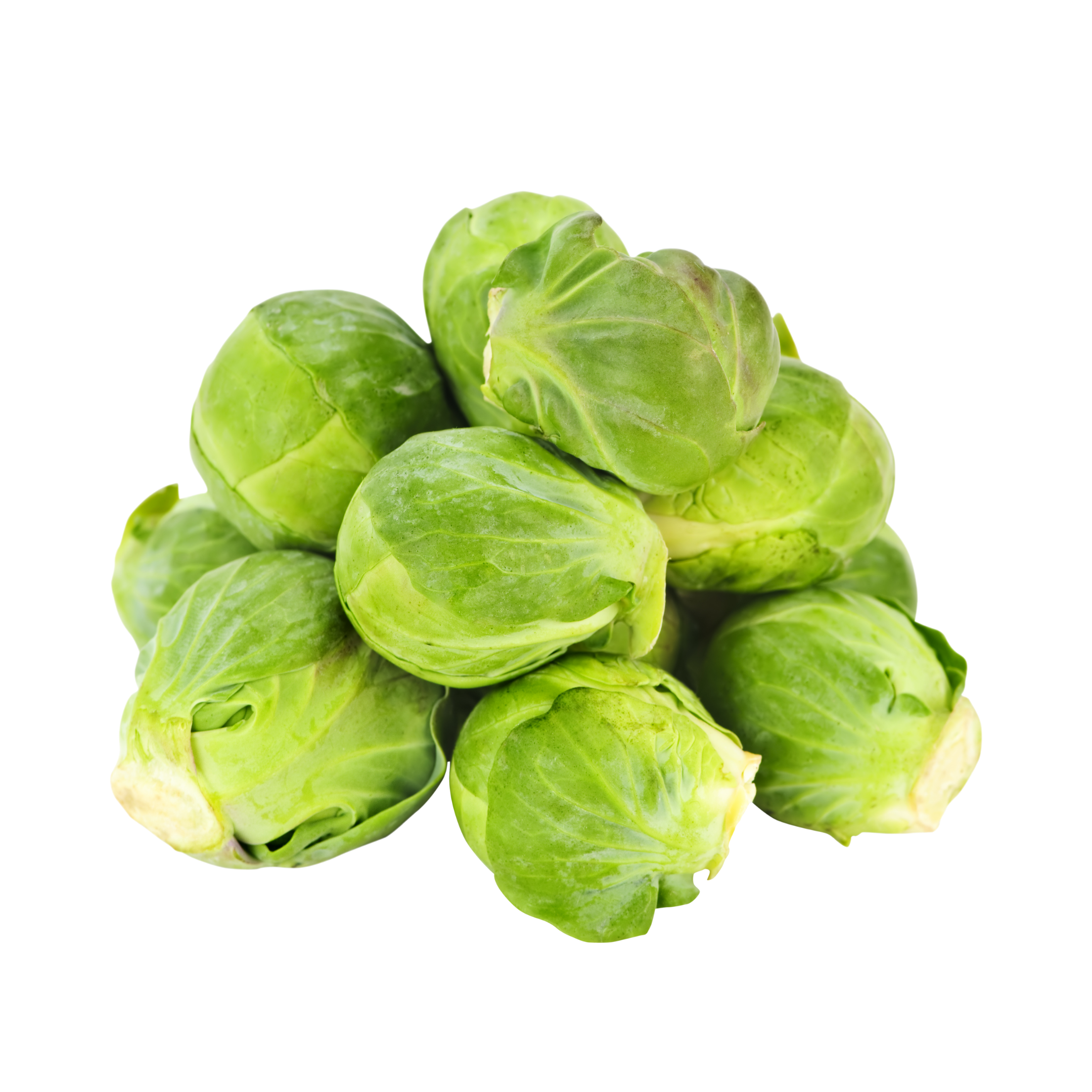 Brussels Sprouts Holland