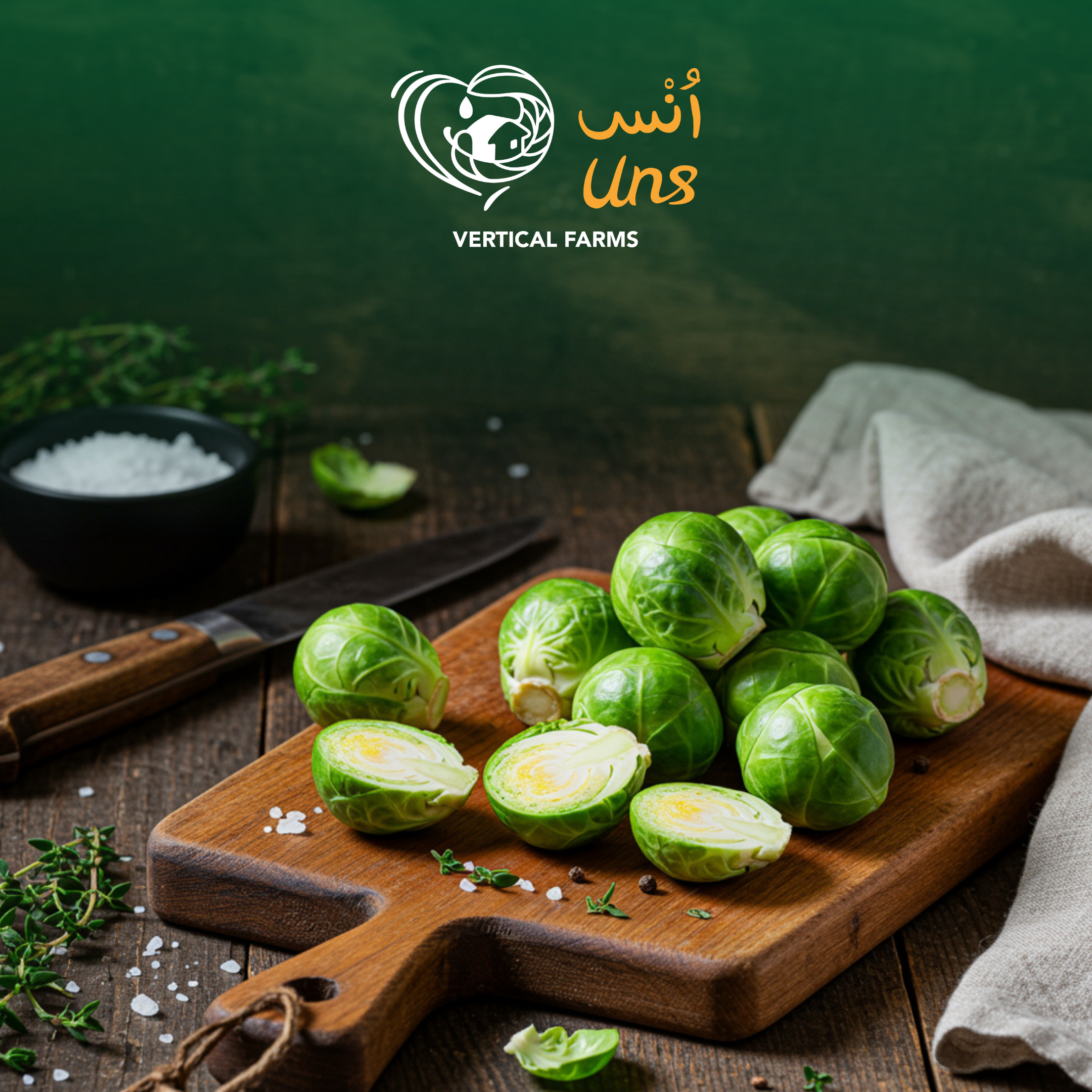 Brussels Sprouts Holland