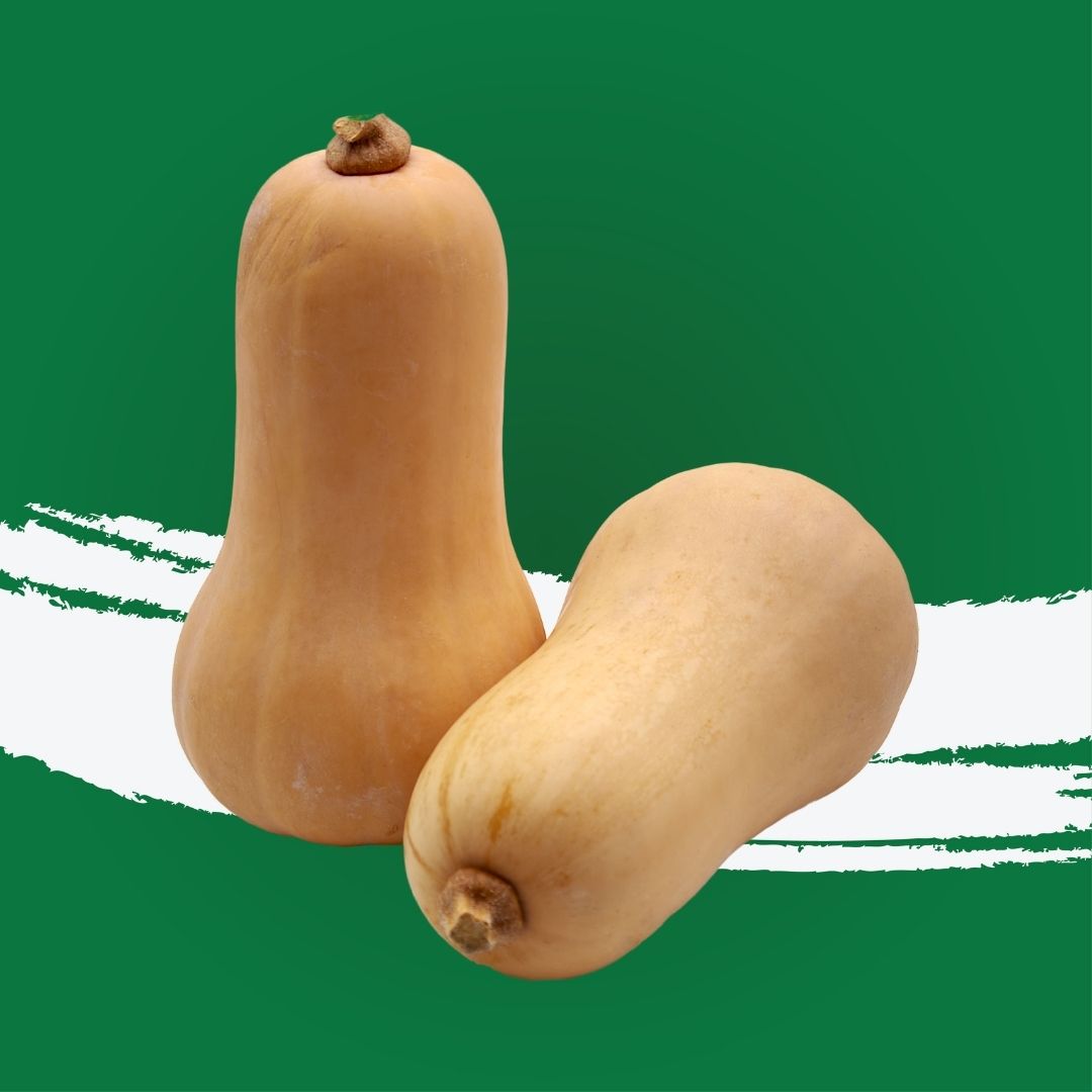 Butternut Pumpkin Spain