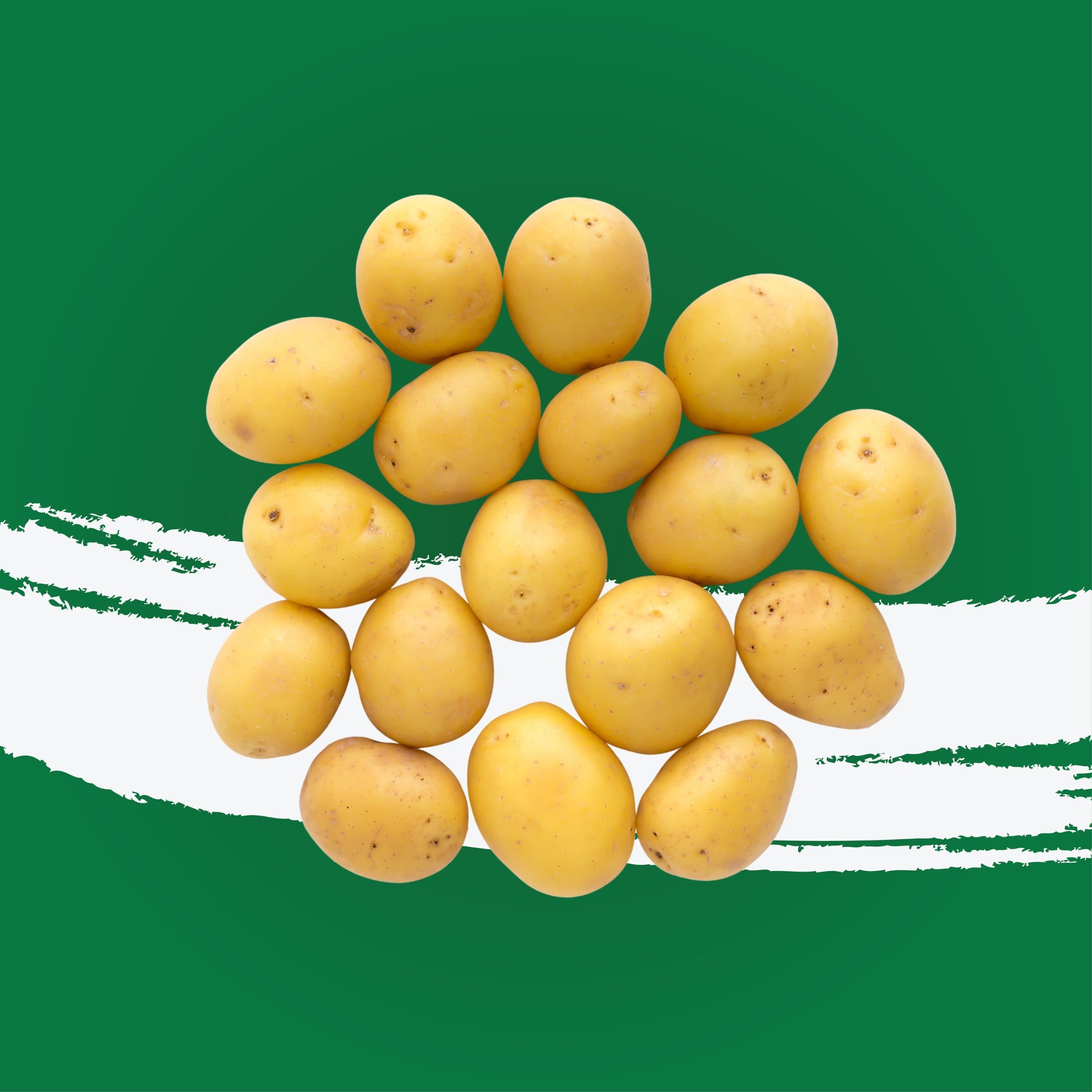 Baby Potato Holland