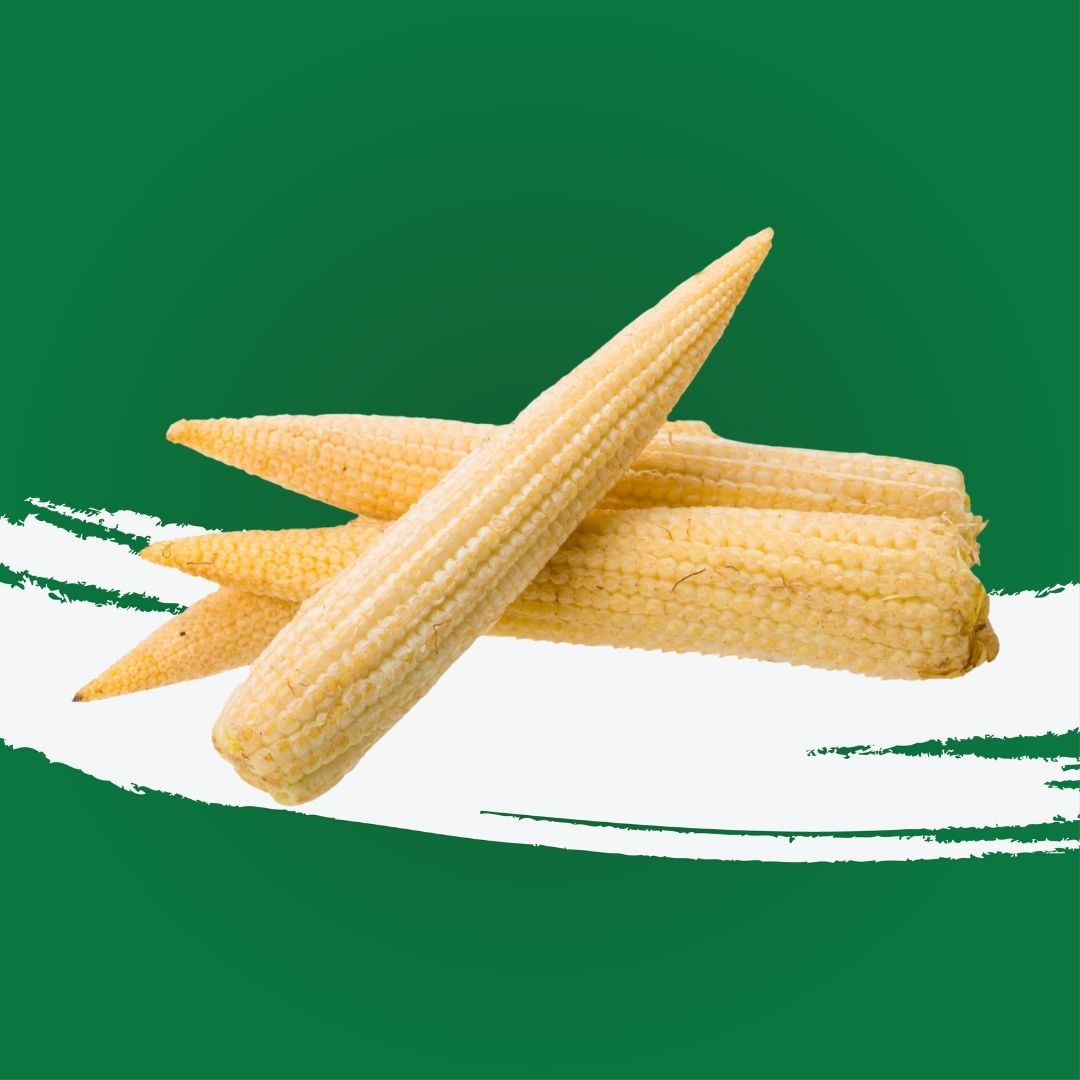 Baby Corn Thailand