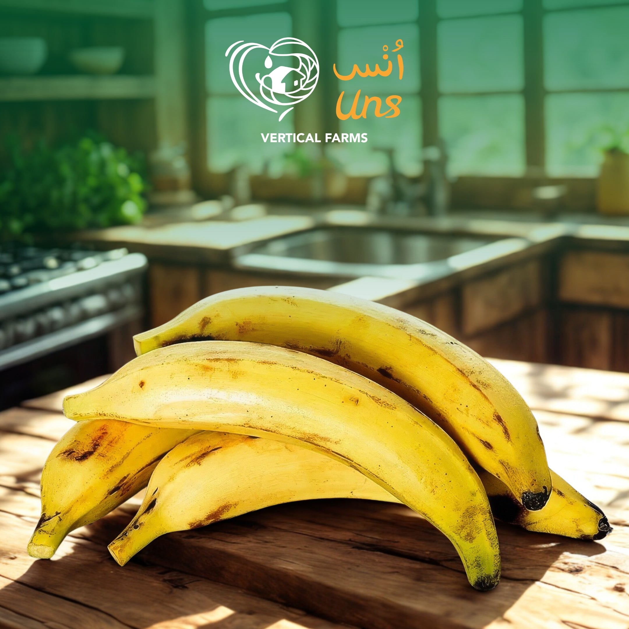 Banana Yb India