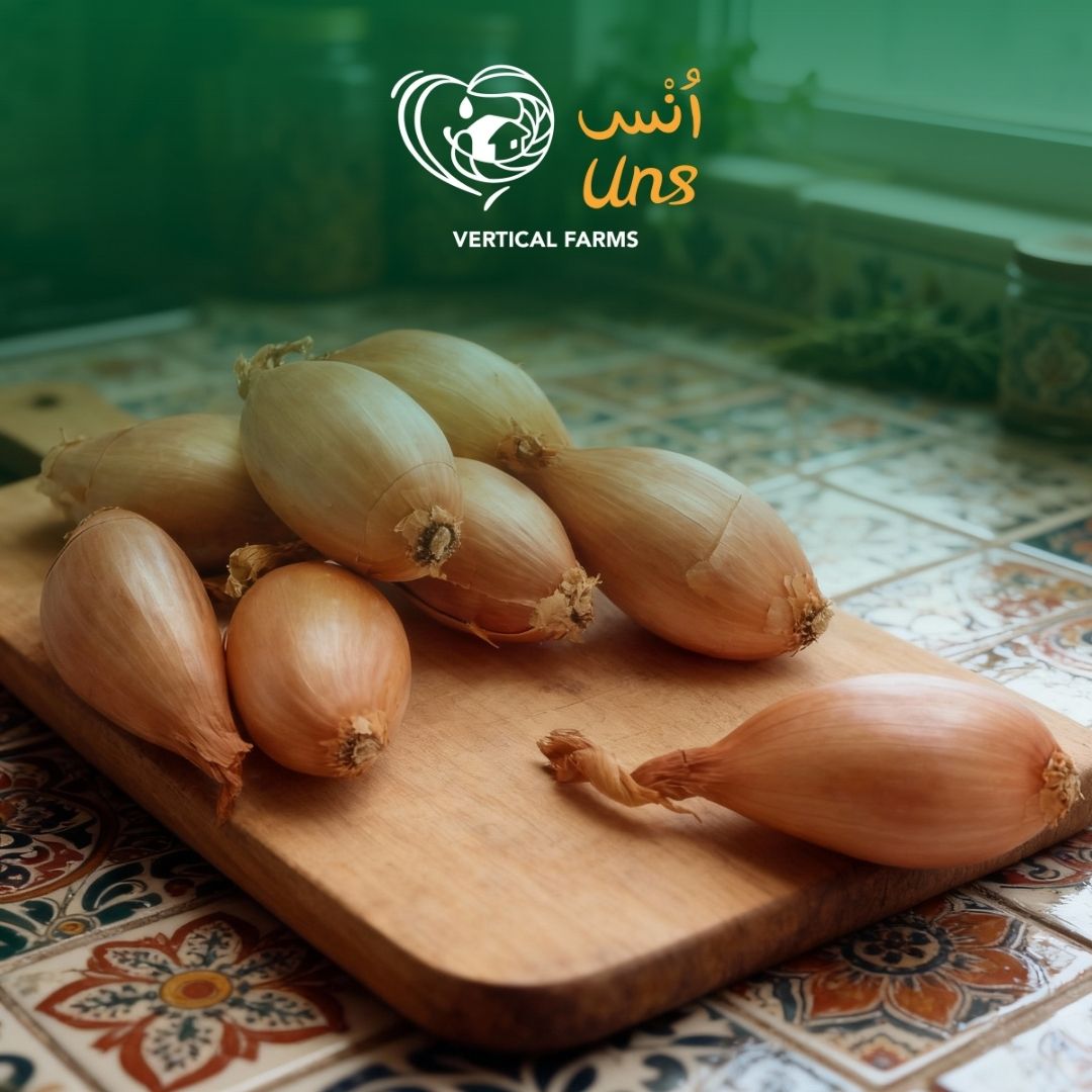 Banana Shallots Holland