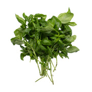 Fresh basil grown in UAE