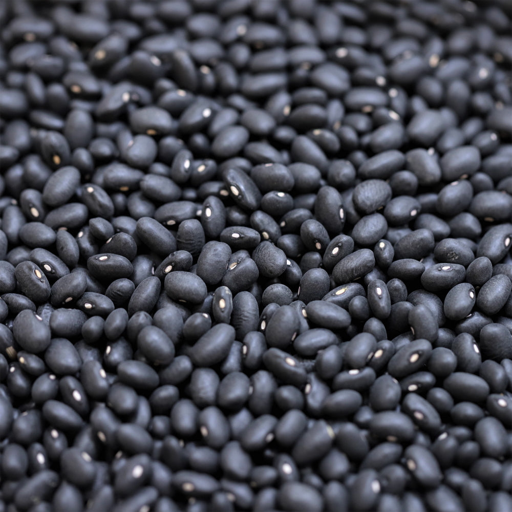 Organic Black Beans 100g