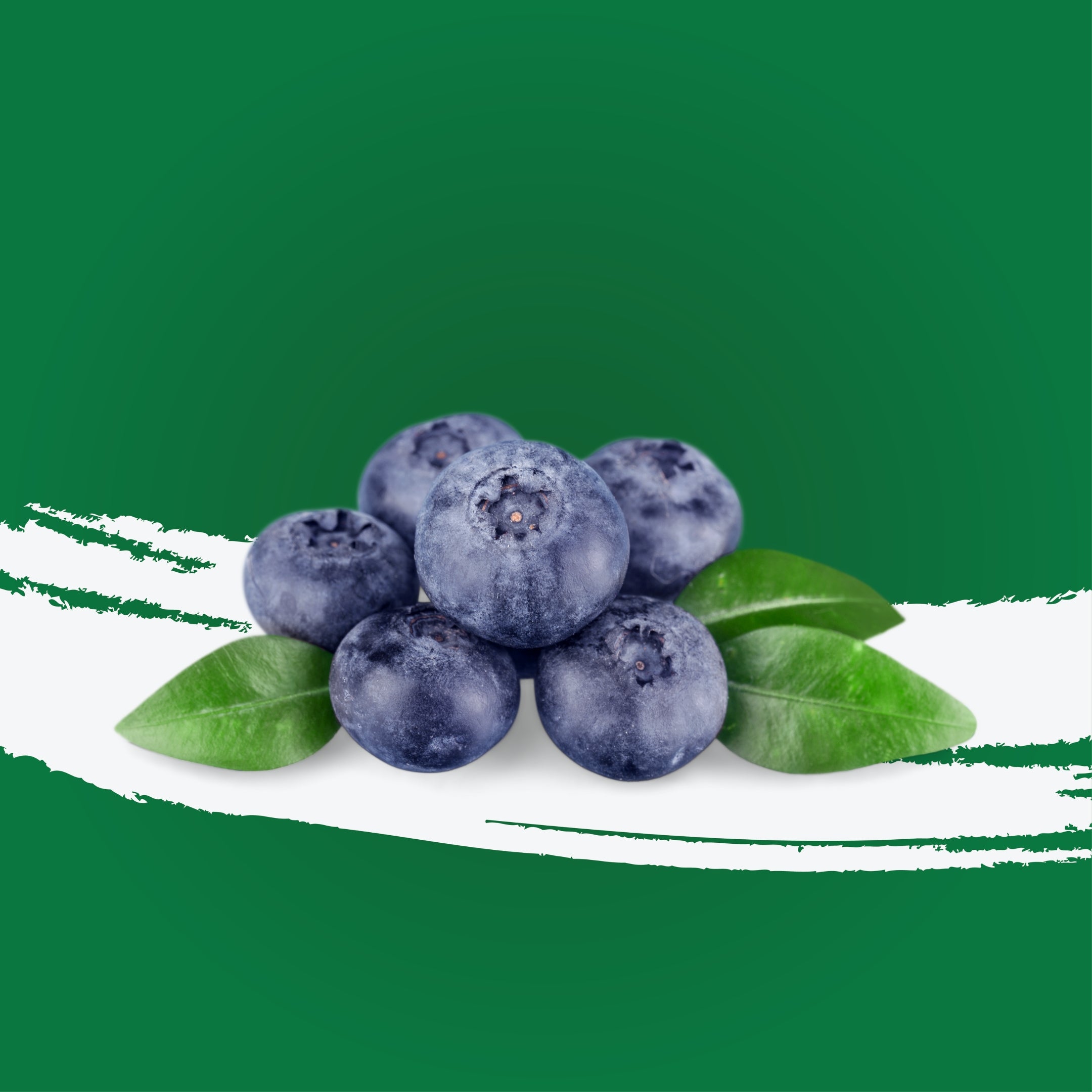 Blueberry Mexico