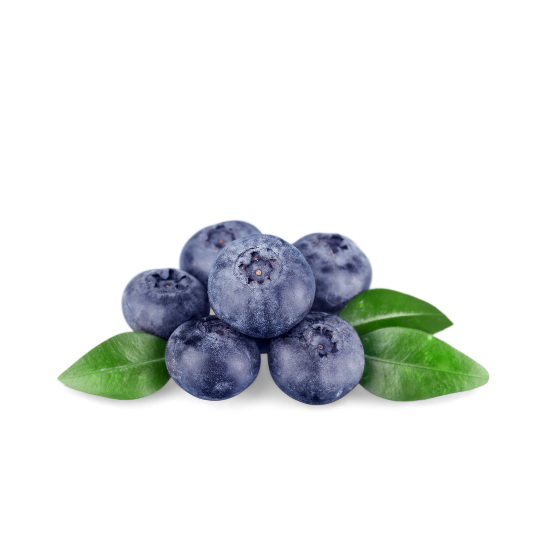 Blueberry Mexico