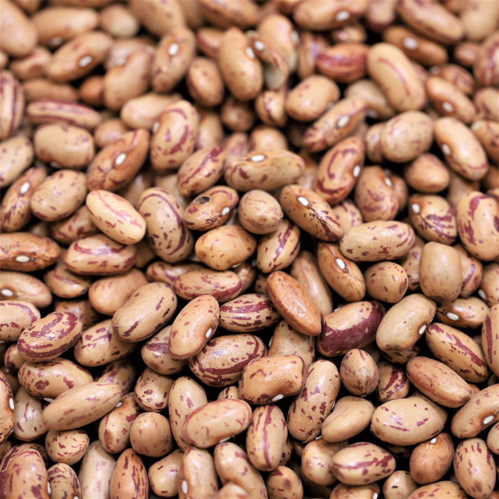Organic Borlotti Cranberry Beans 100g