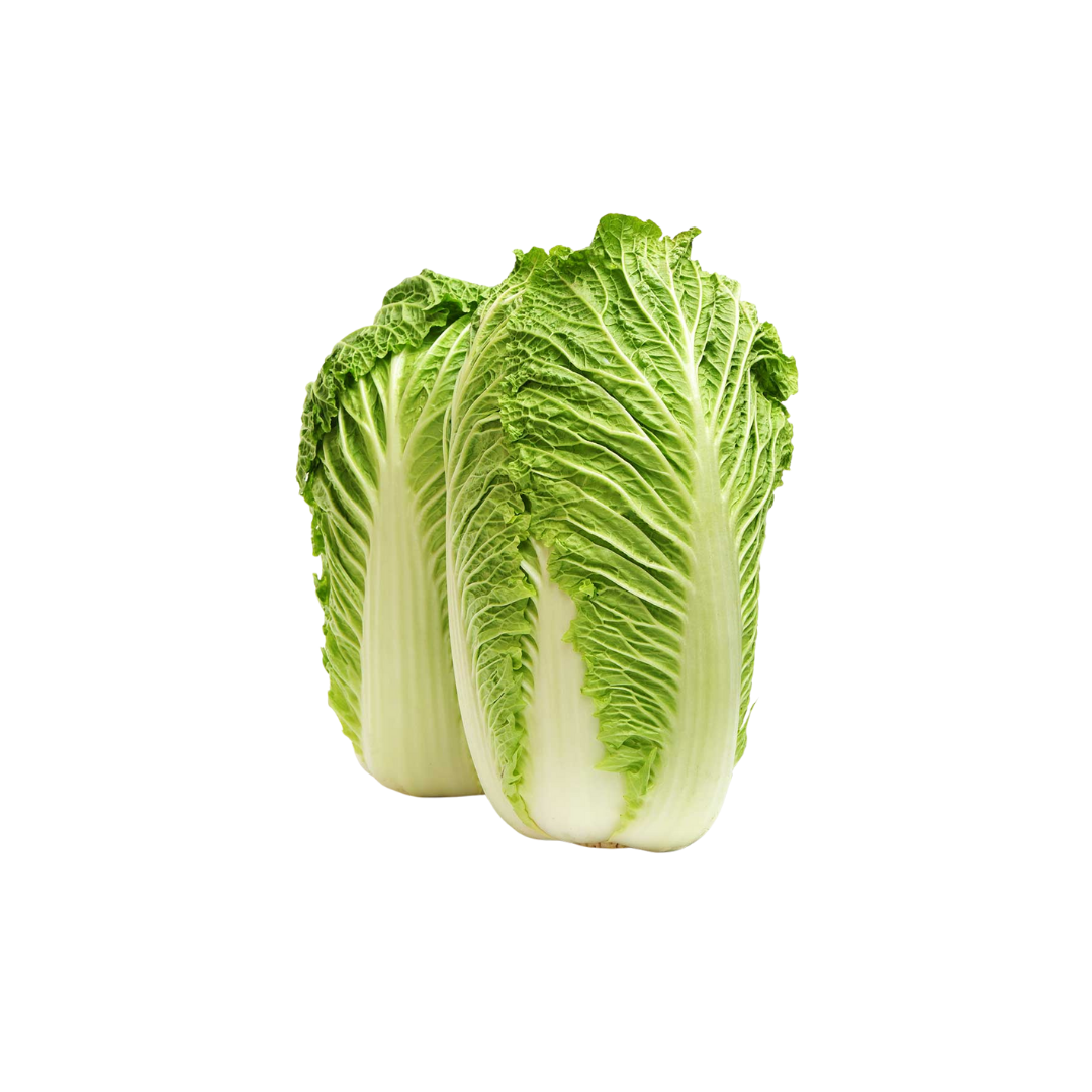 Cabbage Chinese China