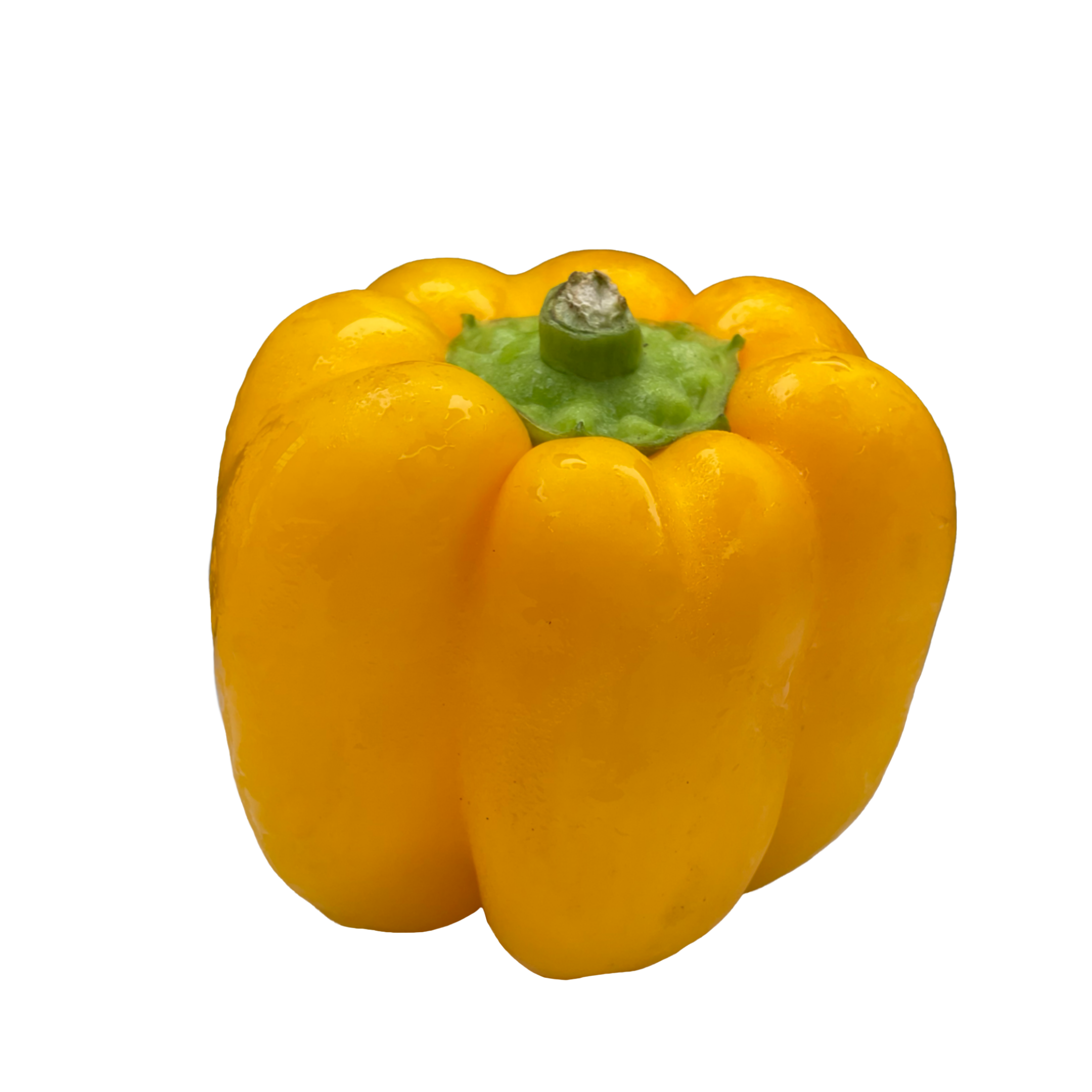 Capsicum Yellow Me