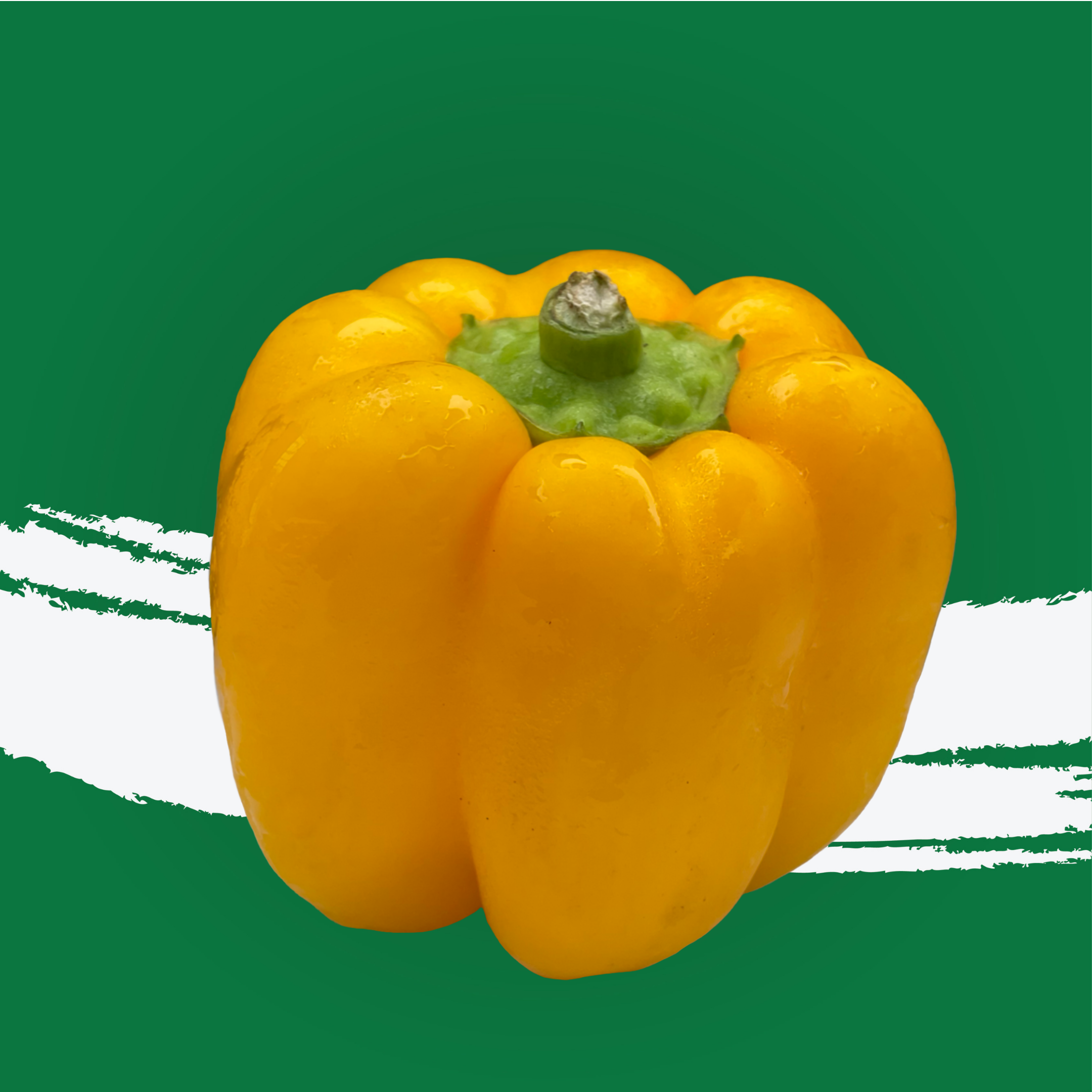 Capsicum Yellow Me