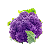 Cauliflower Purple Holland