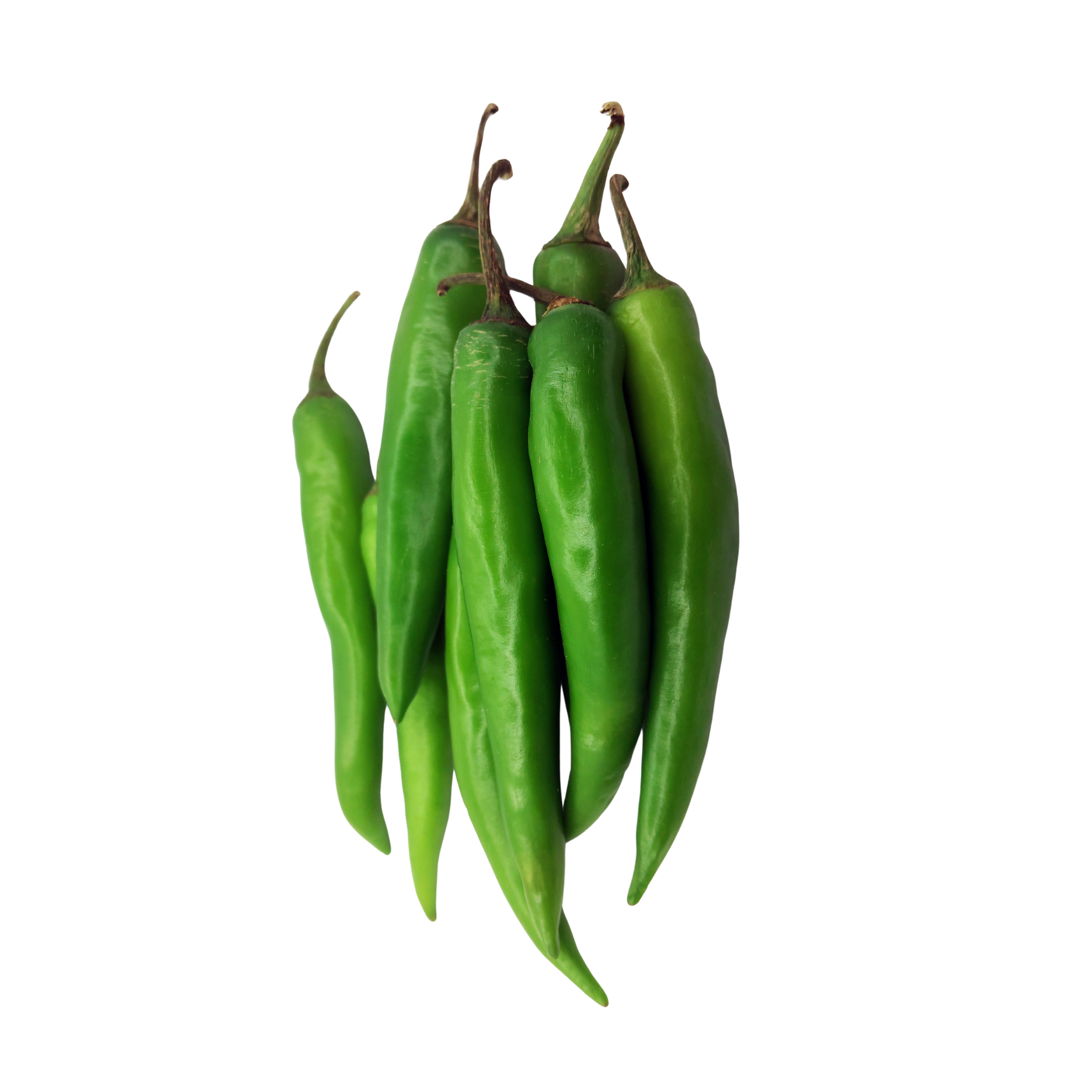 Chilly Green Long Me