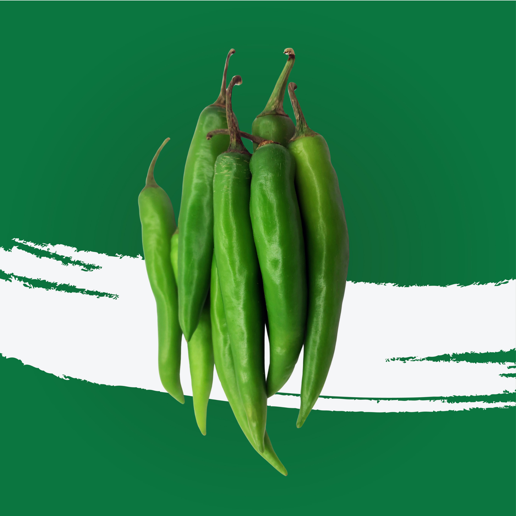 Chilly Green Long Me