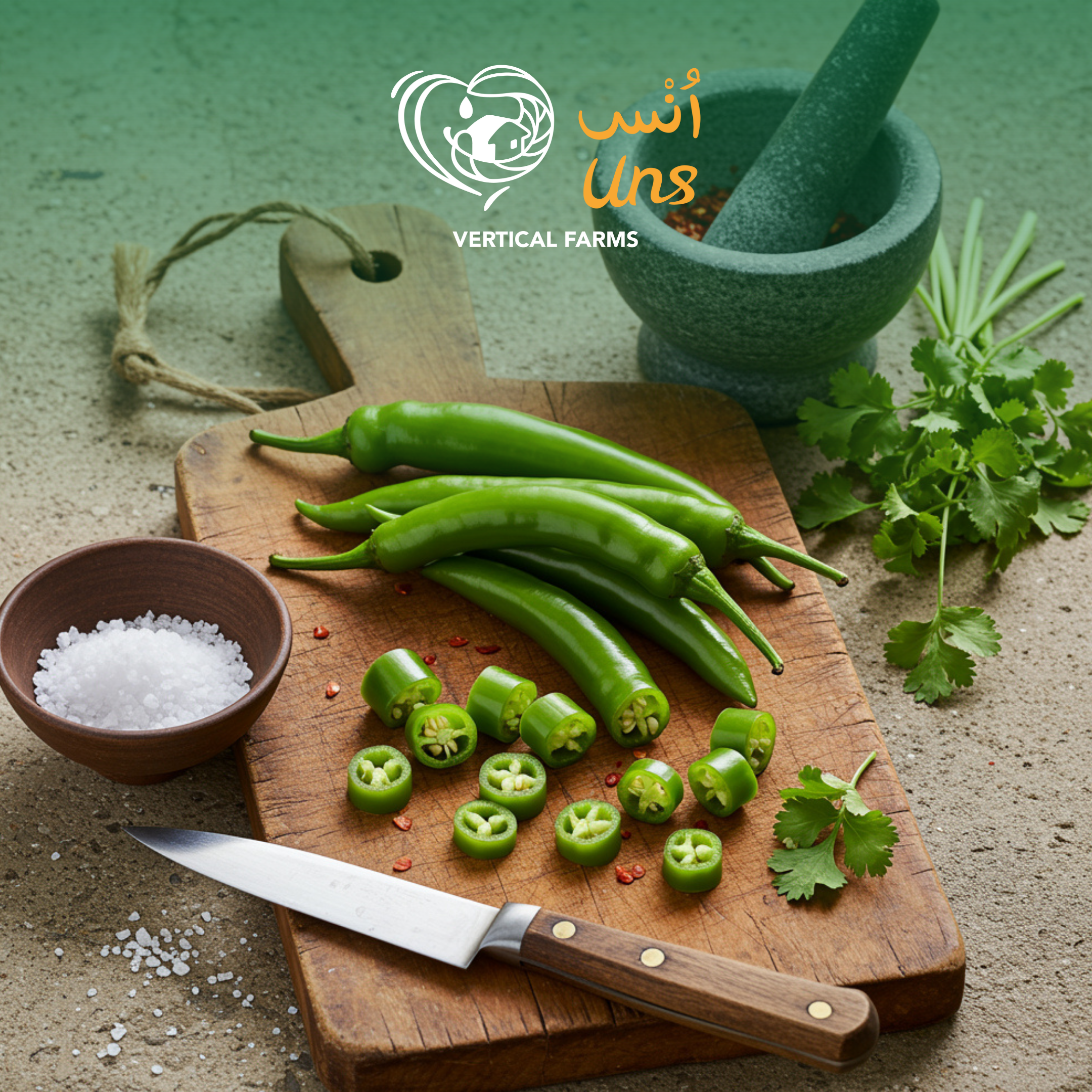 Chilly Green Long Me