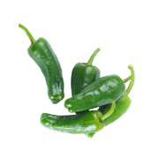 Chilly Padron Holland