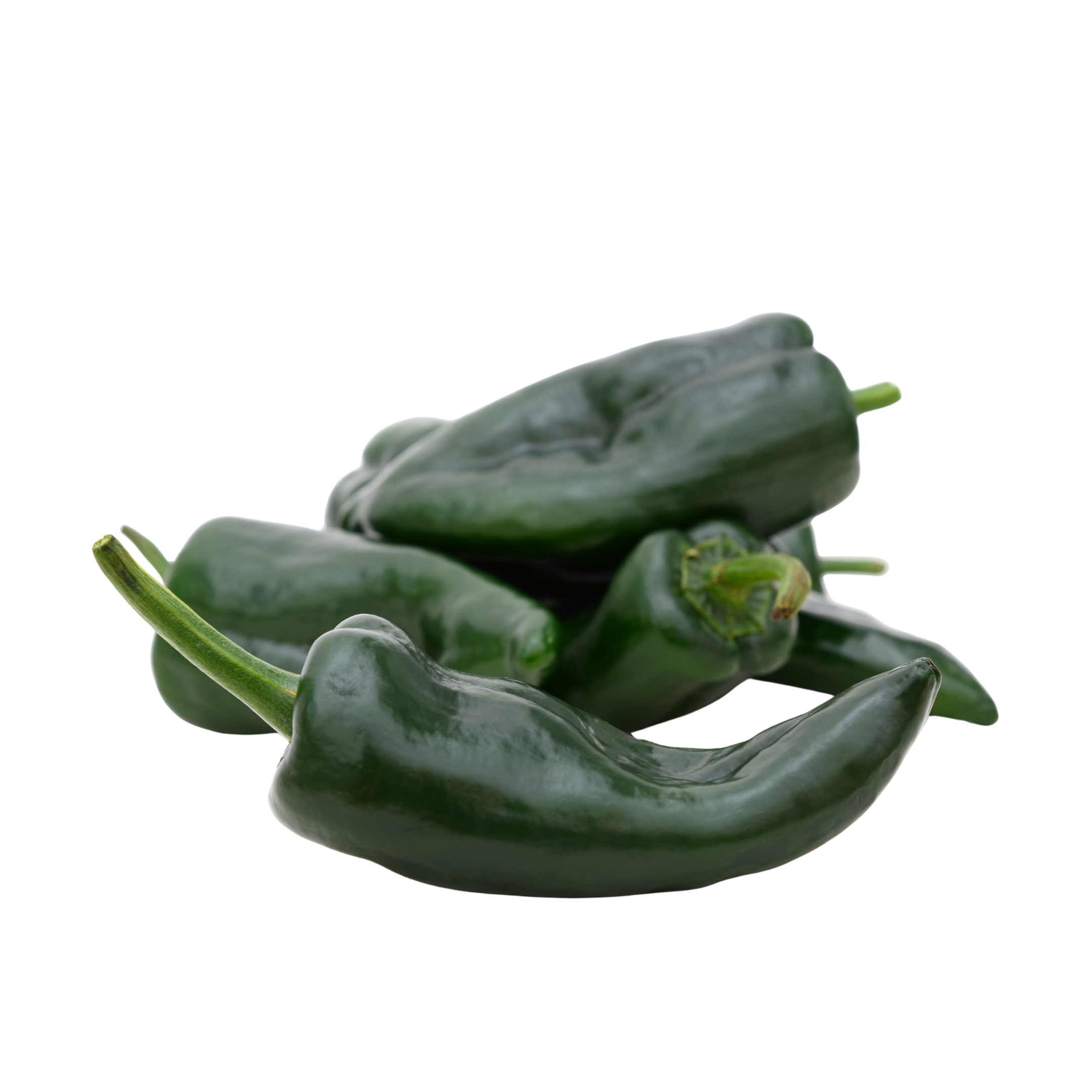 Chilly Poblano Holland