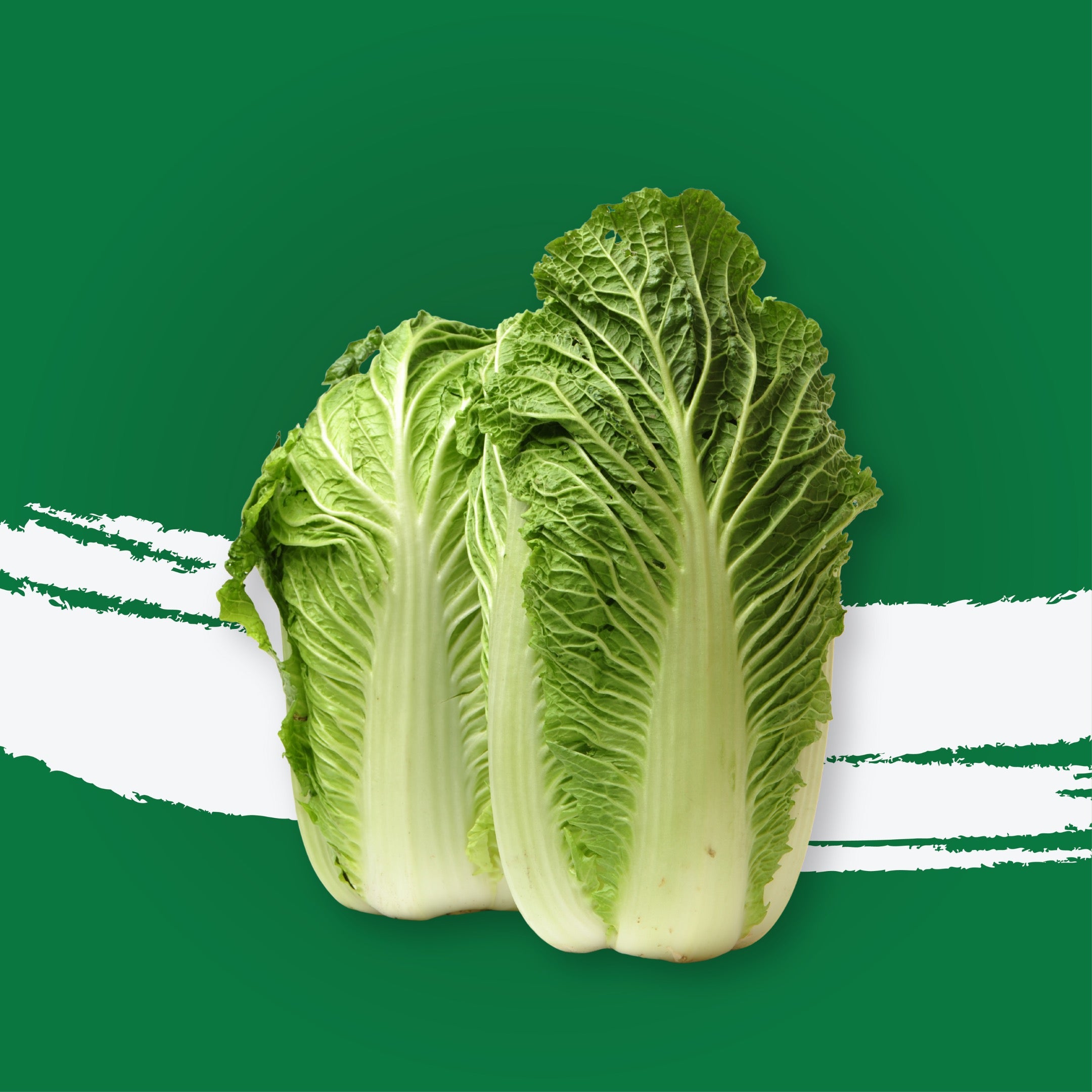 Cabbage Chinese China